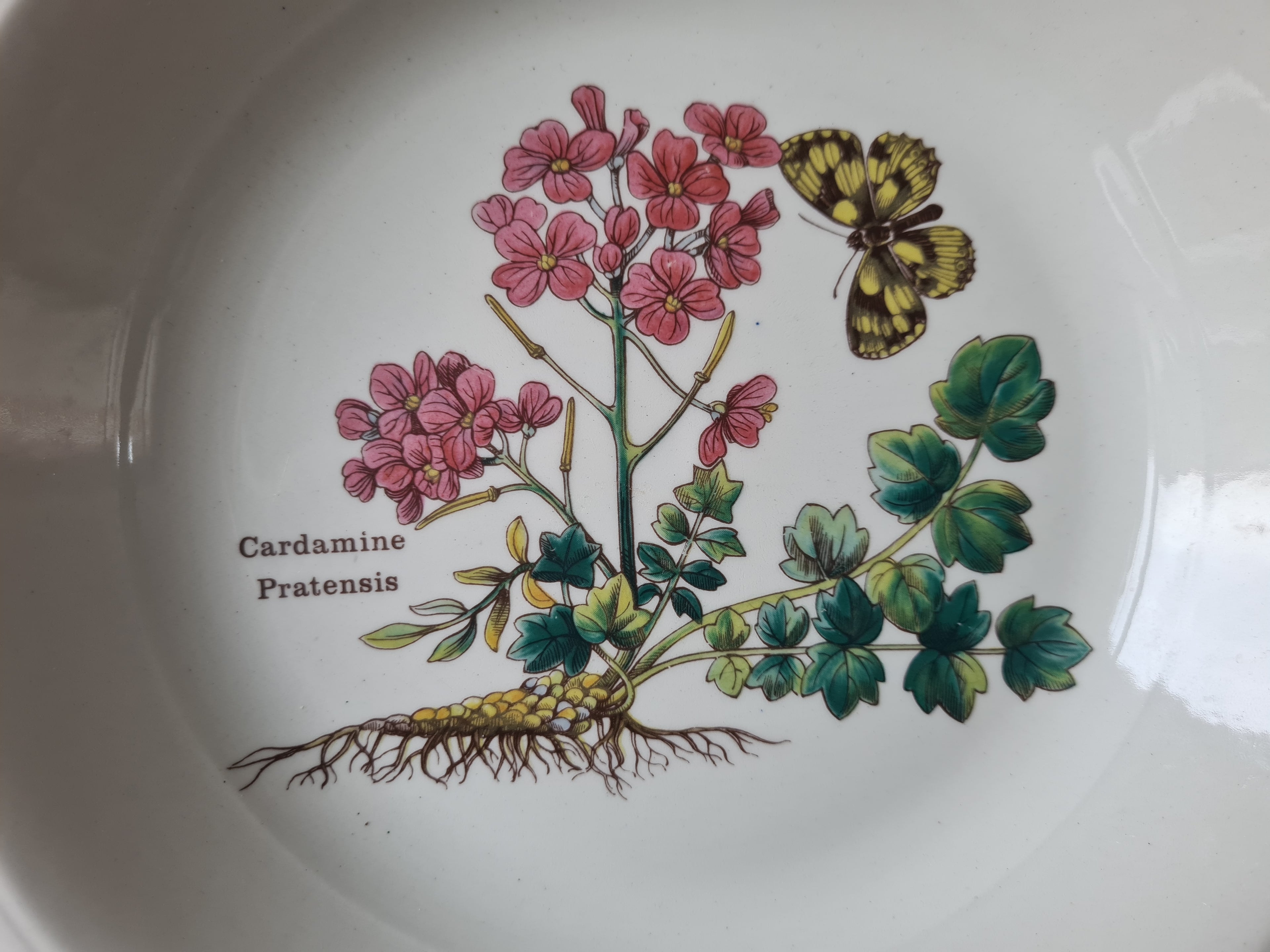 Wedgwood Florabunda diepe borden 20,5 cm ø