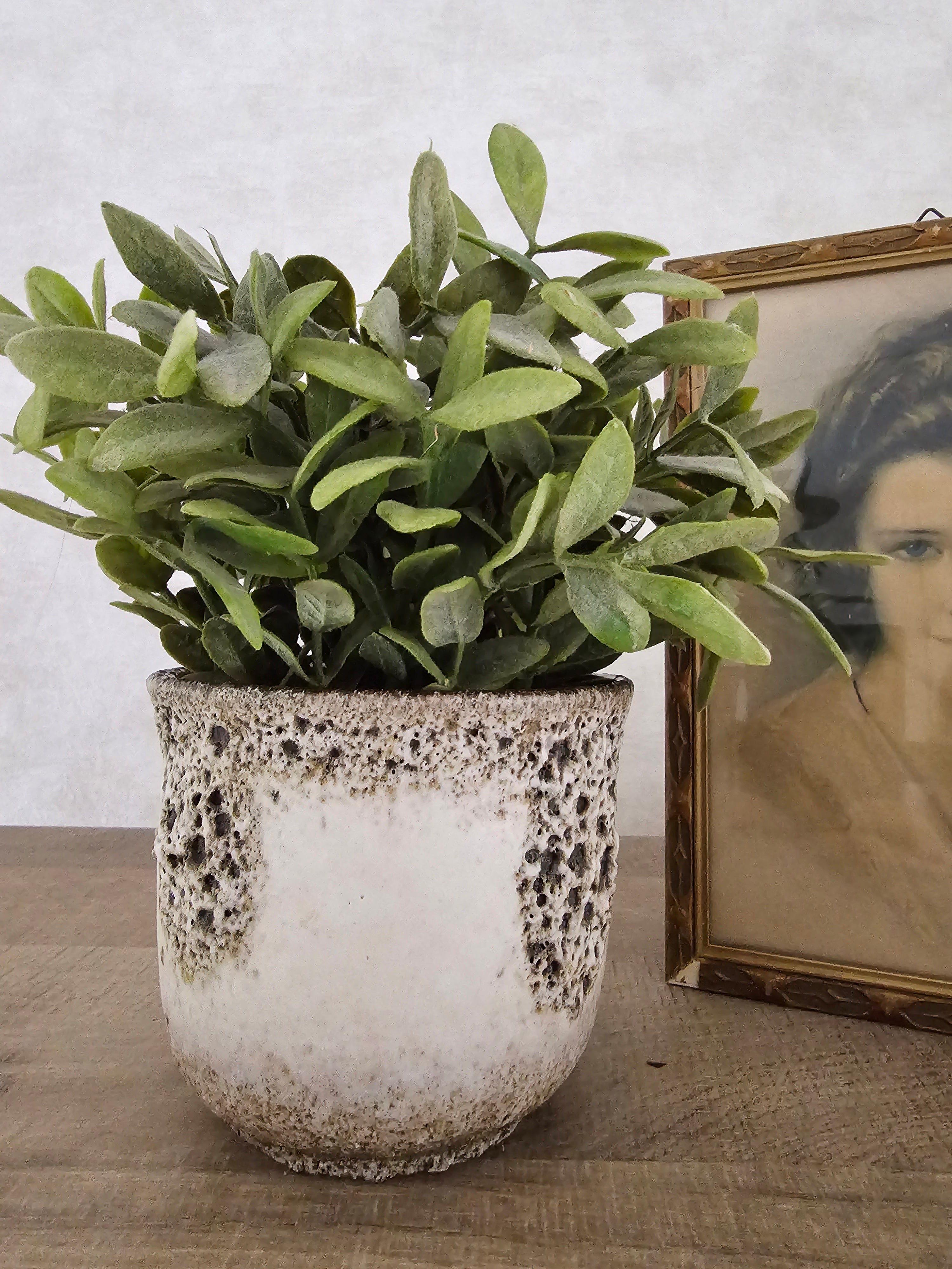 West Germany Scheurich bloempot bruislava