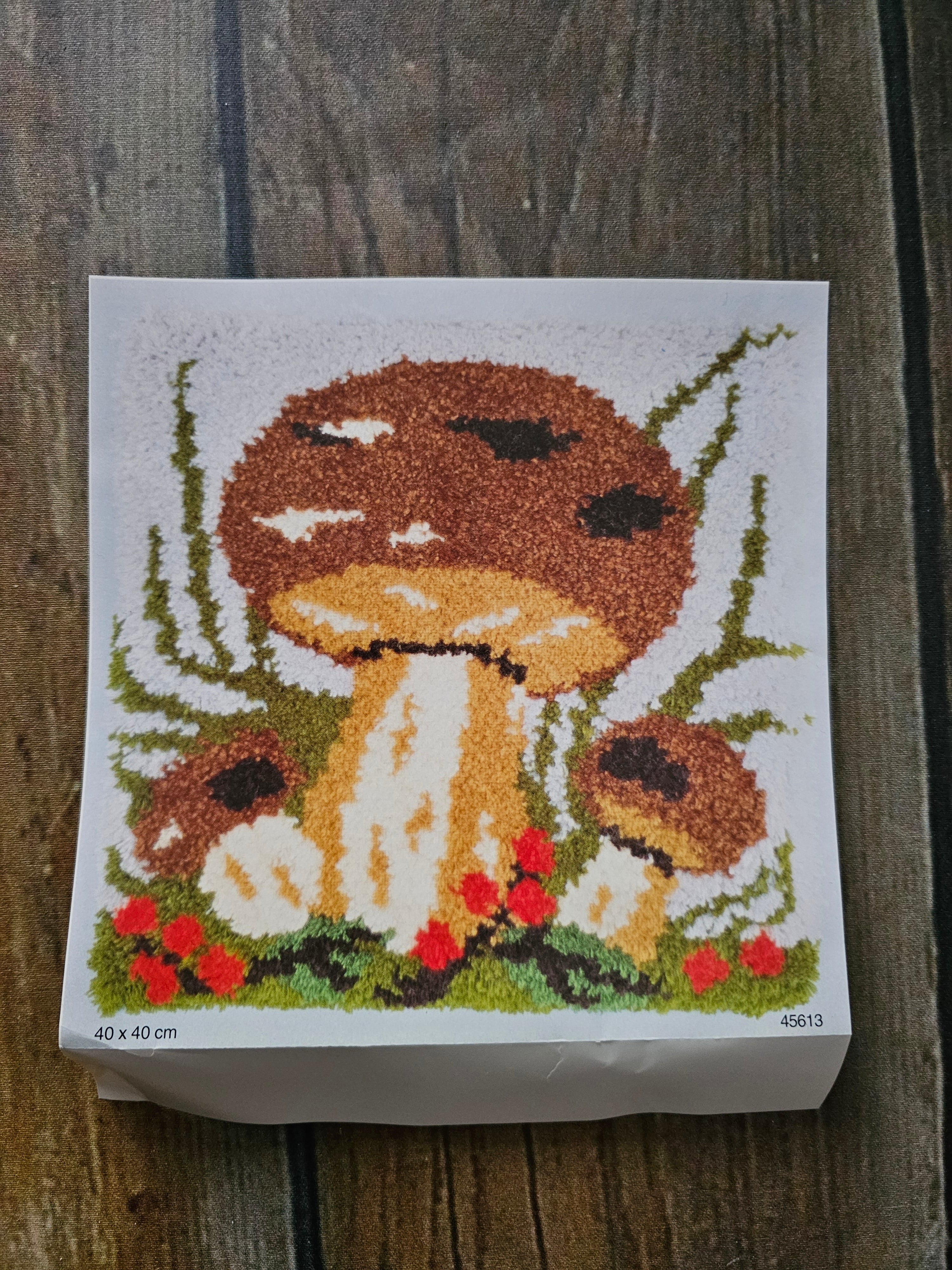 Knoopkussen 40 x 40 cm Paddenstoel