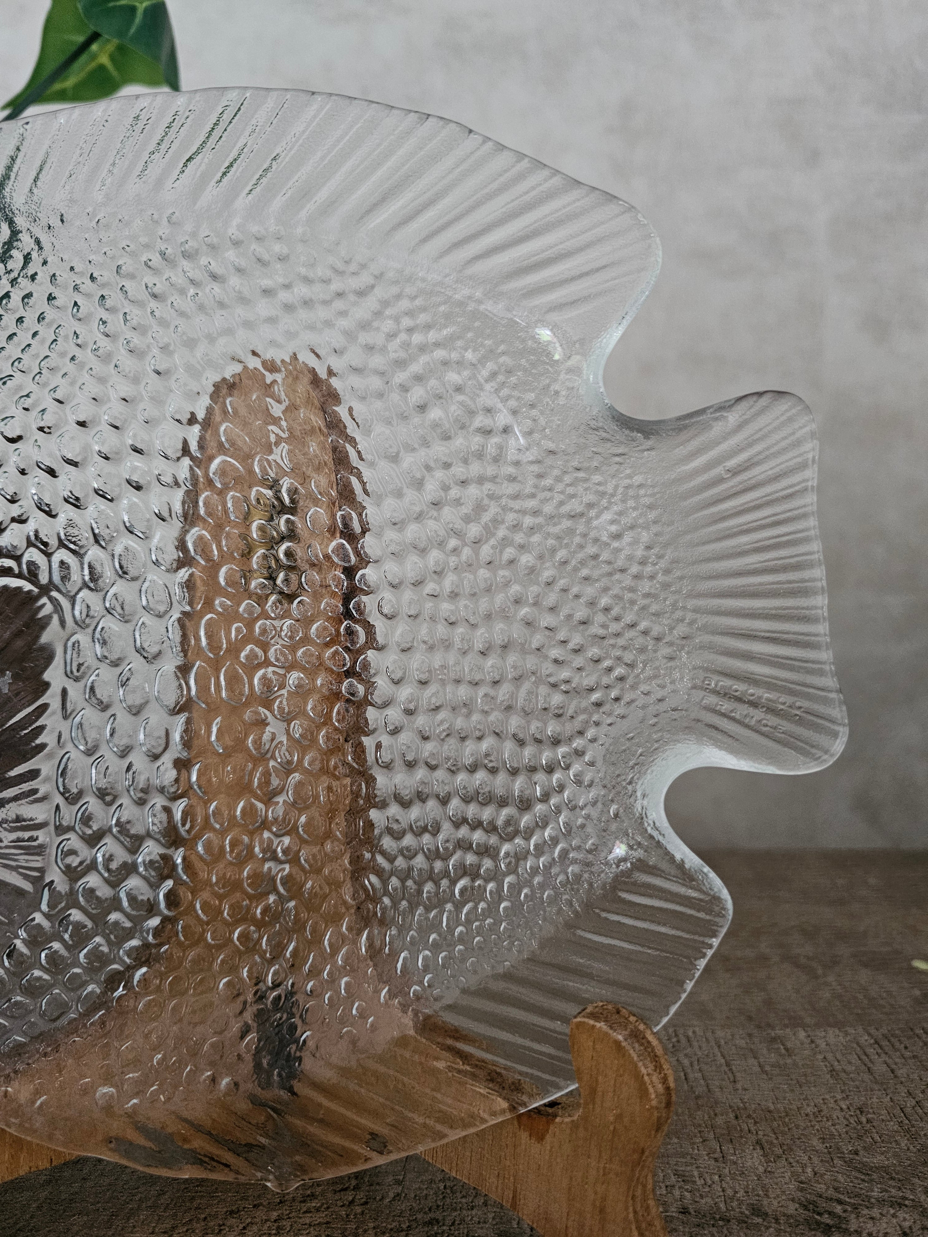 Arcoroc France glazen vis bord 26 cm