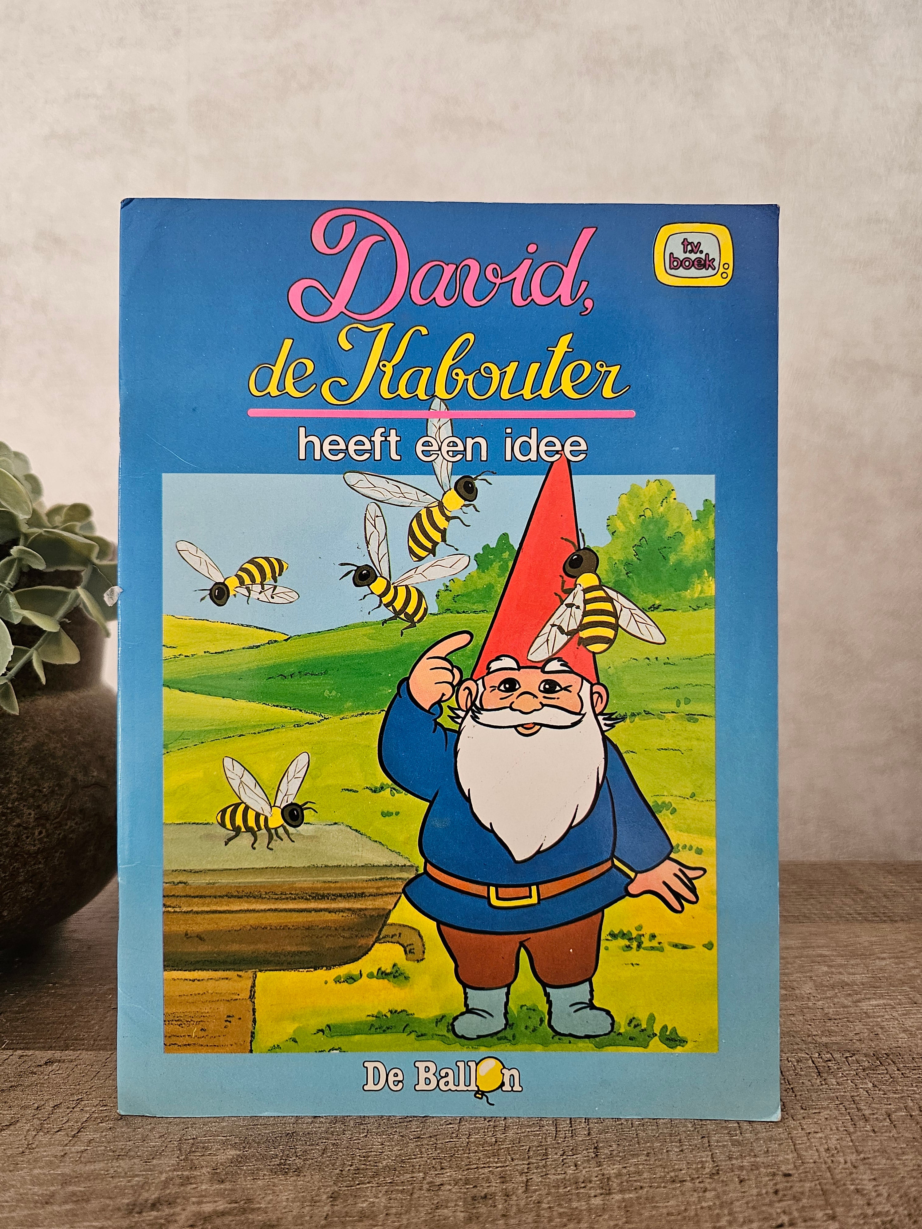 David de kabouter heeft een idee