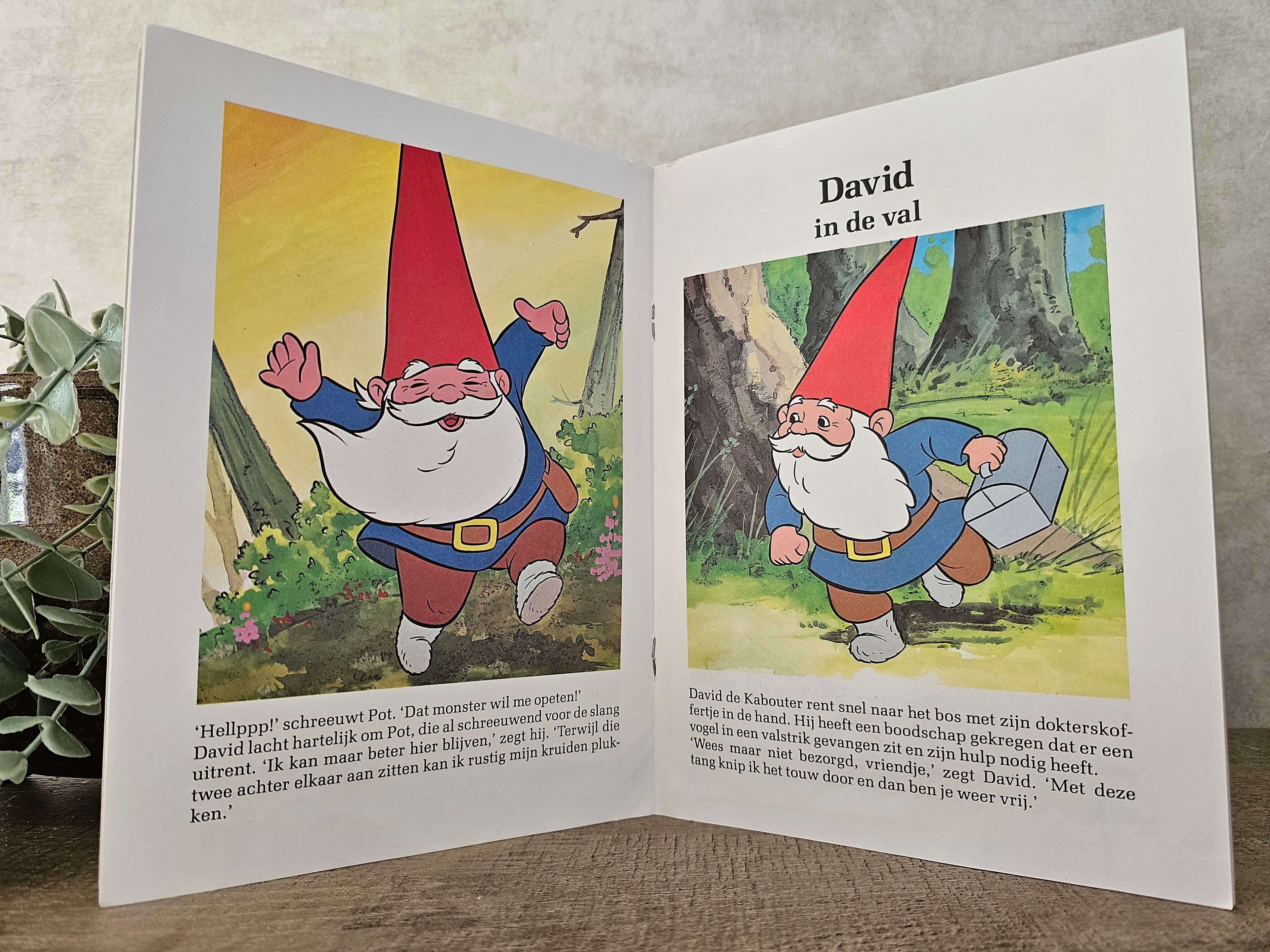 David de kabouter heeft een idee