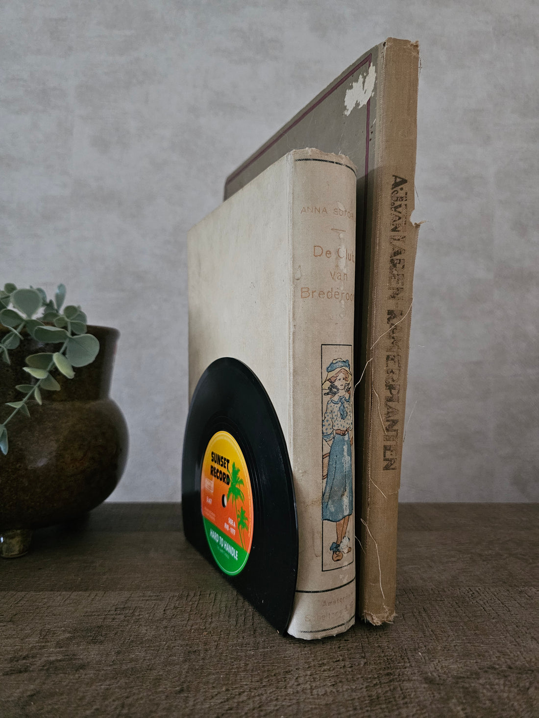 Retro vinyl lp boekensteunen