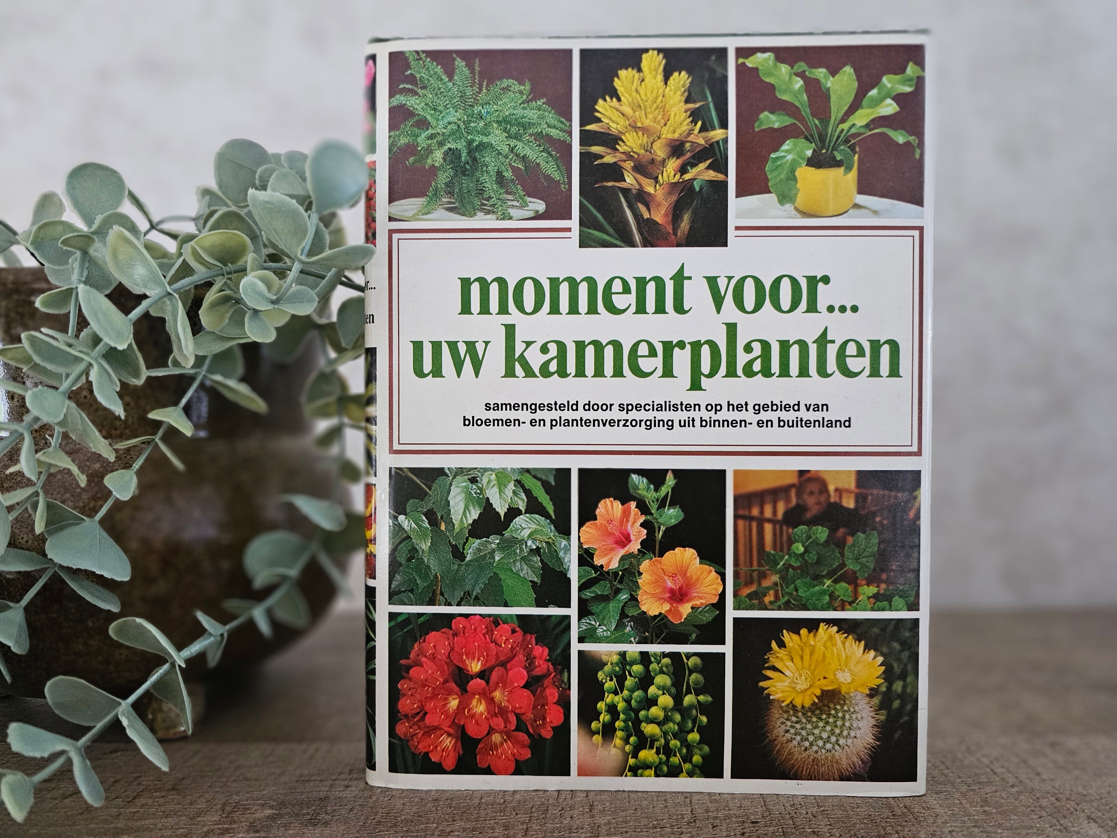 Douwe Egberts een moment voor uw kamerplanten