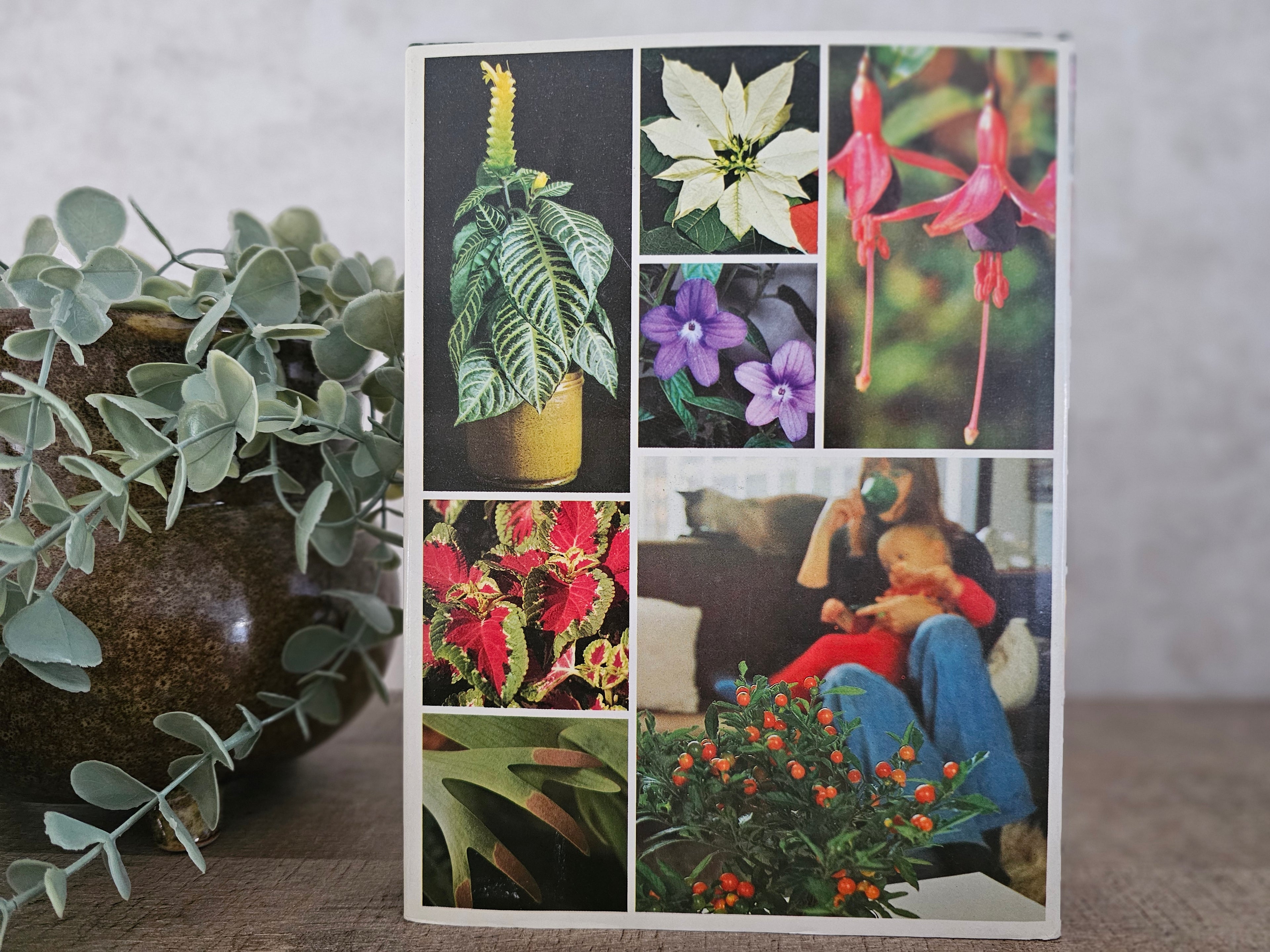 Douwe Egberts een moment voor uw kamerplanten