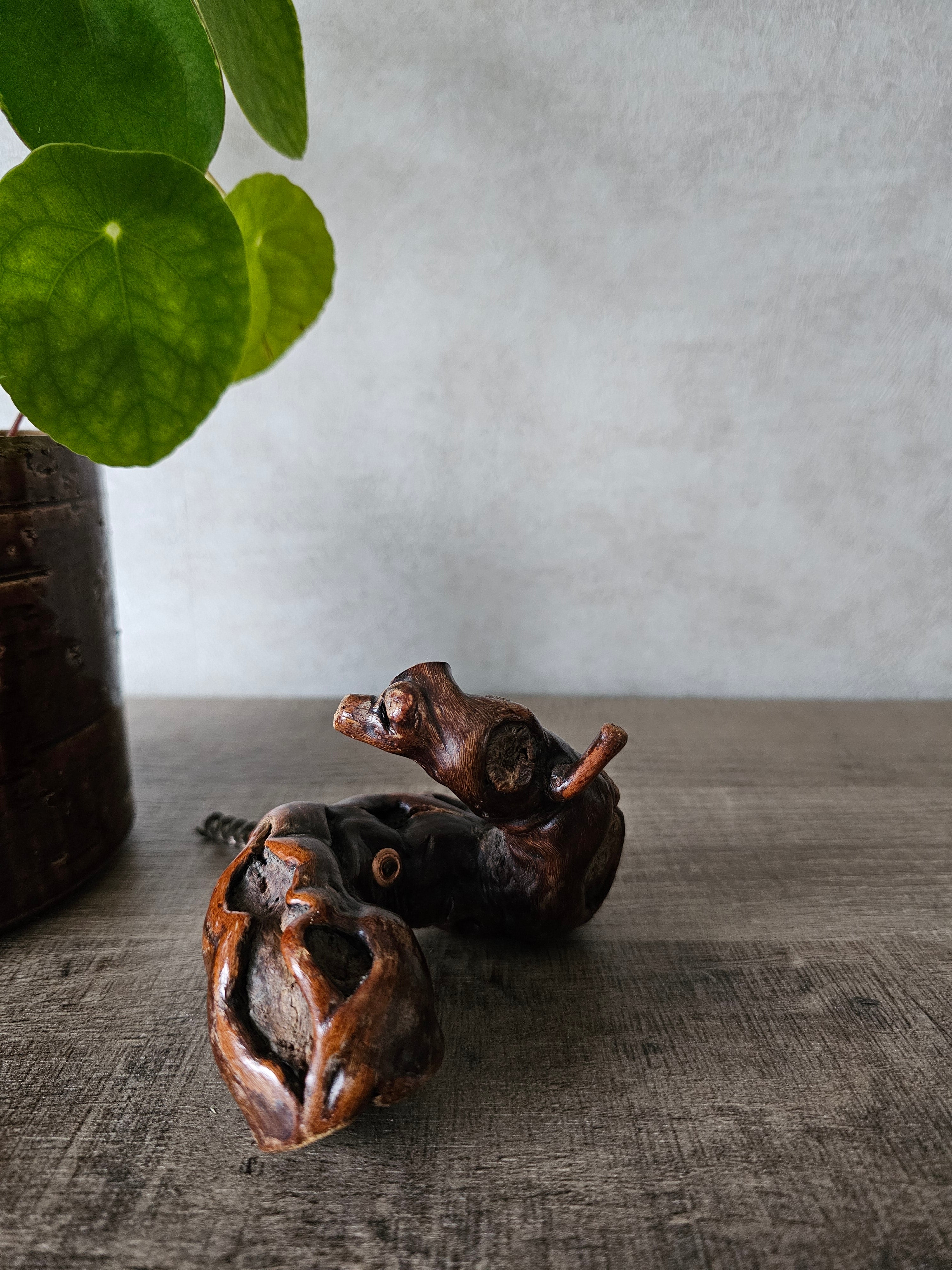 Wortelhouten kurkentrekker