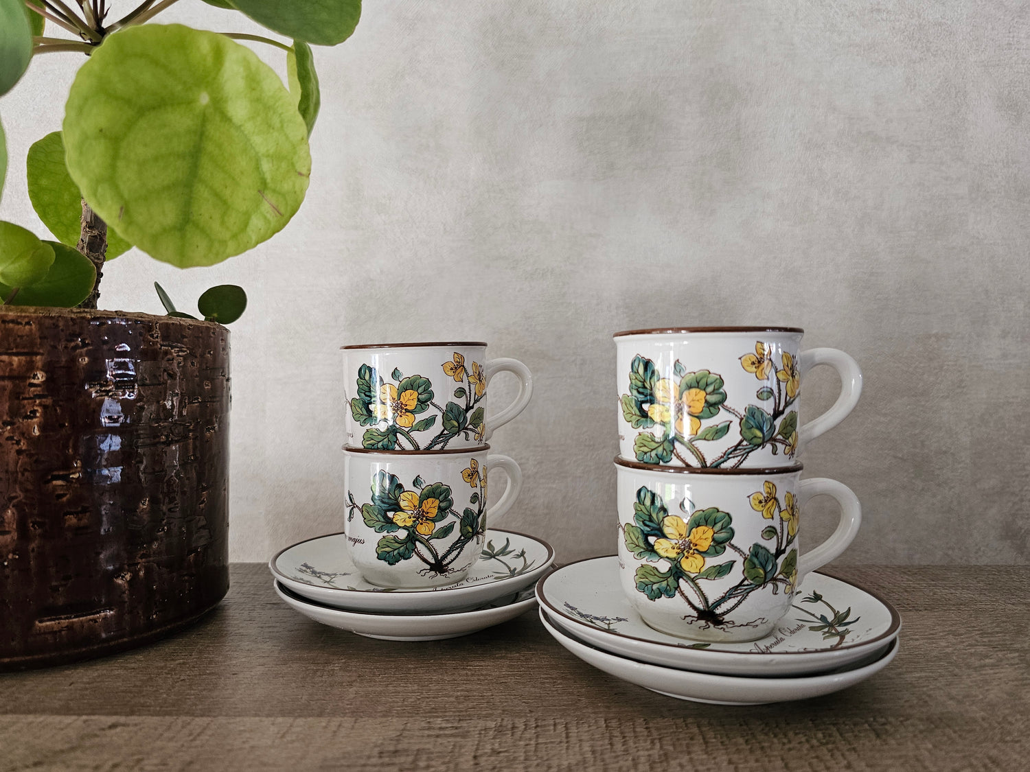 Villeroy Boch Botanica kop en schotel