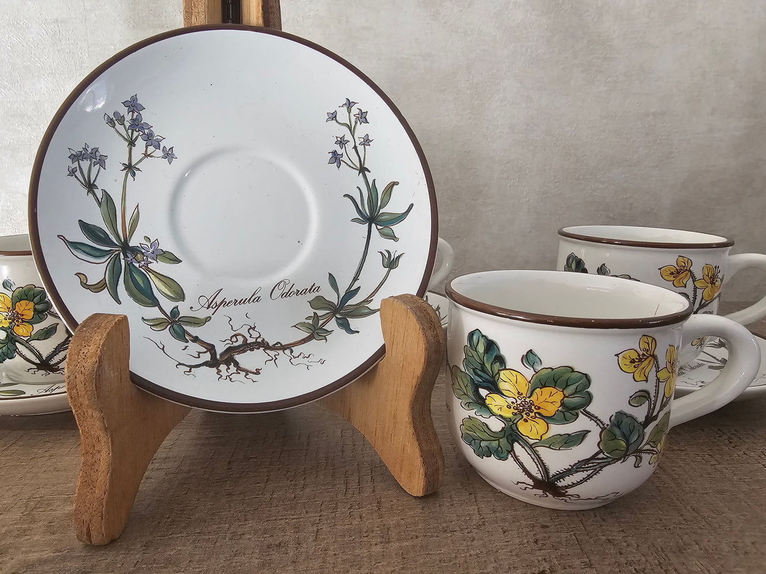 Villeroy Boch Botanica kop en schotel