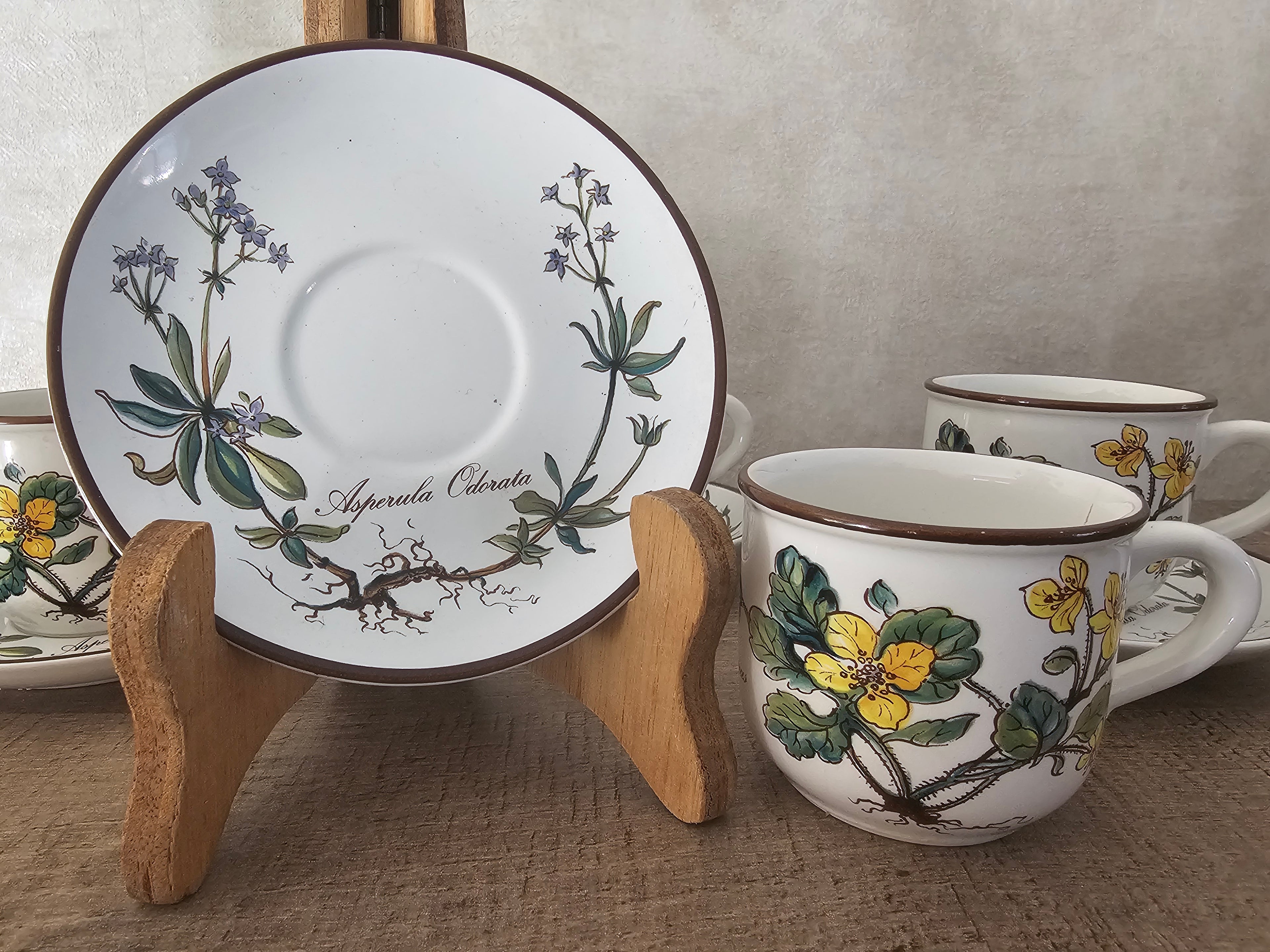 Villeroy Boch Botanica kop en schotel