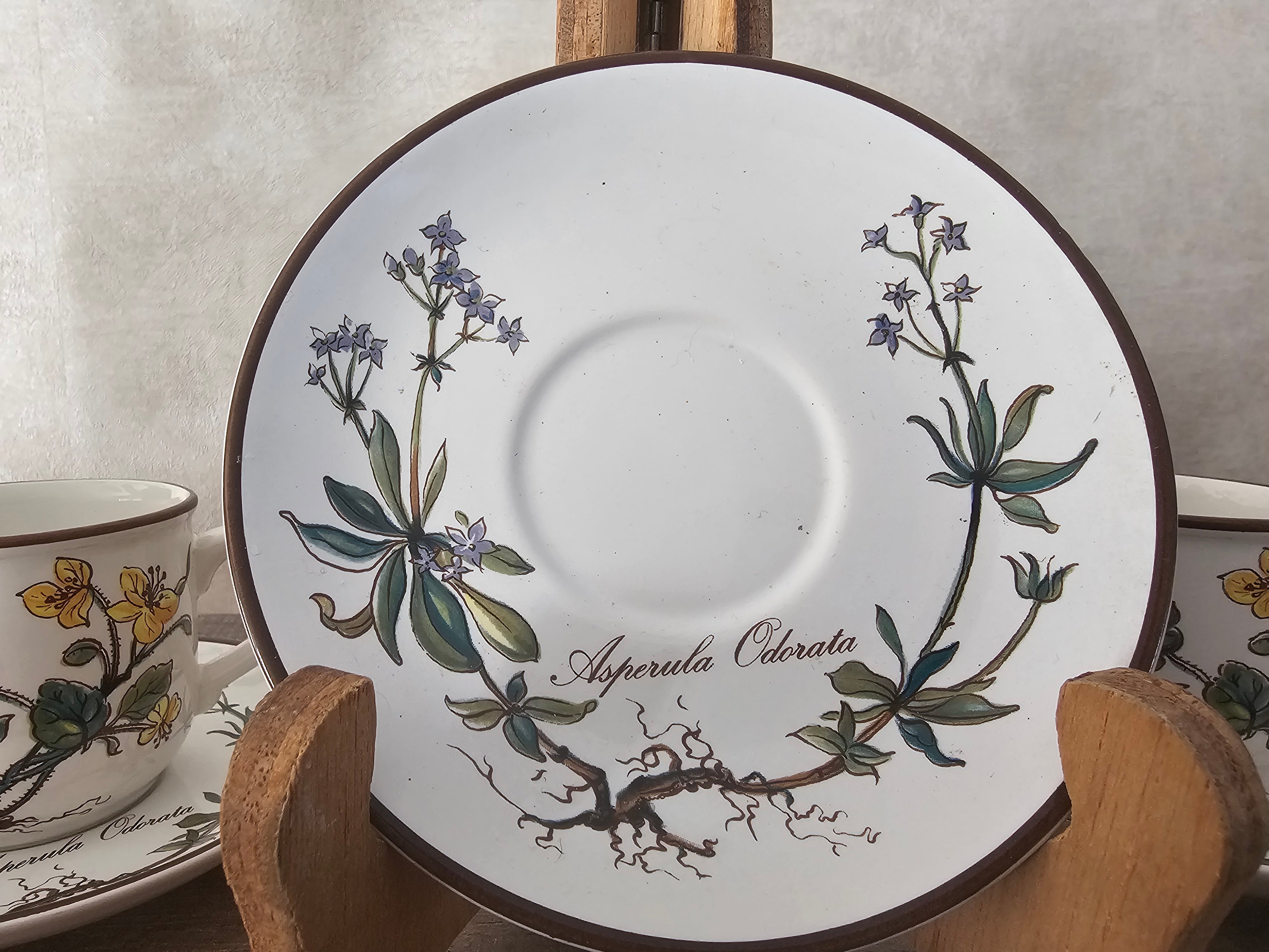 Villeroy Boch Botanica kop en schotel