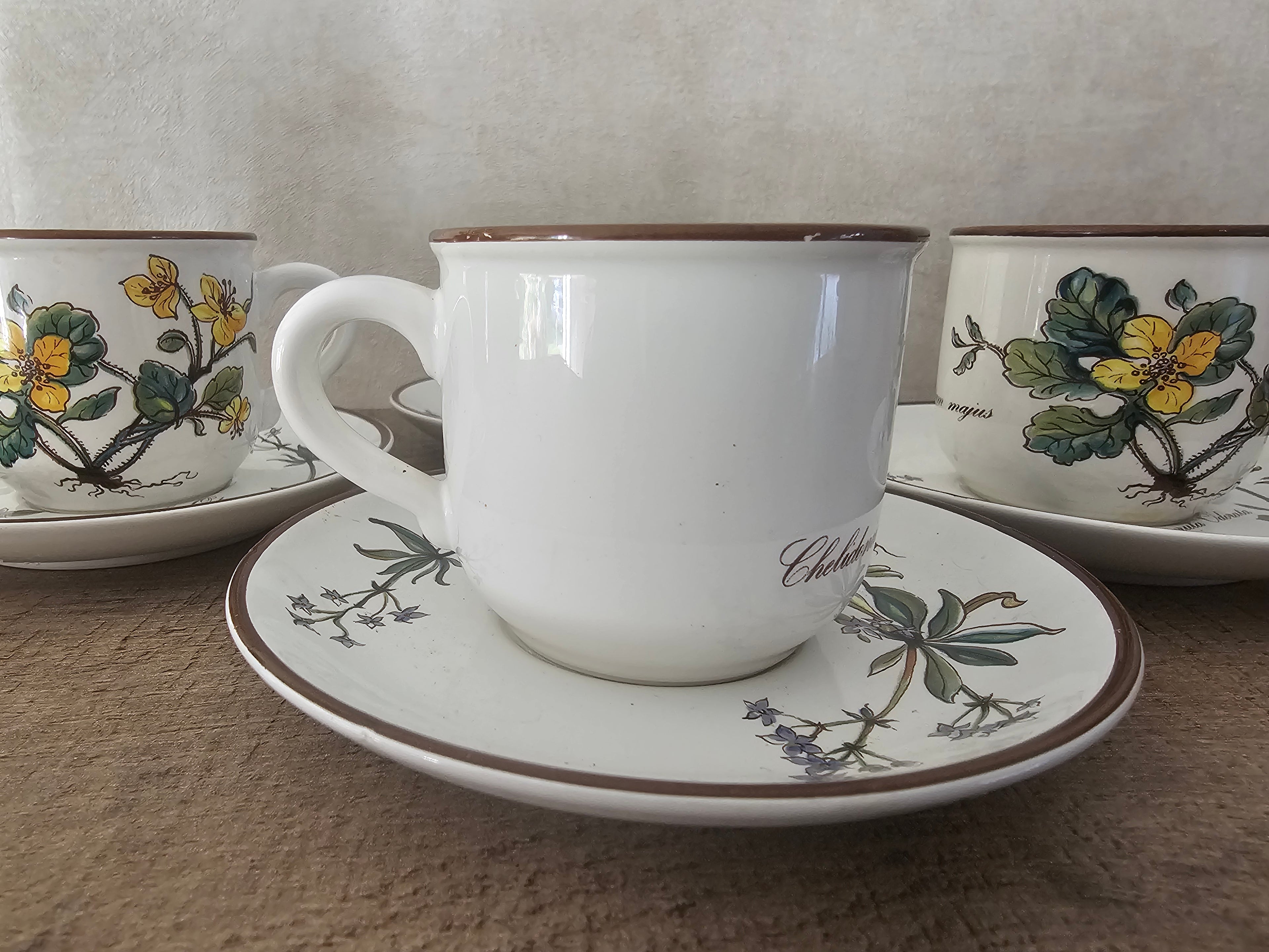 Villeroy Boch Botanica kop en schotel