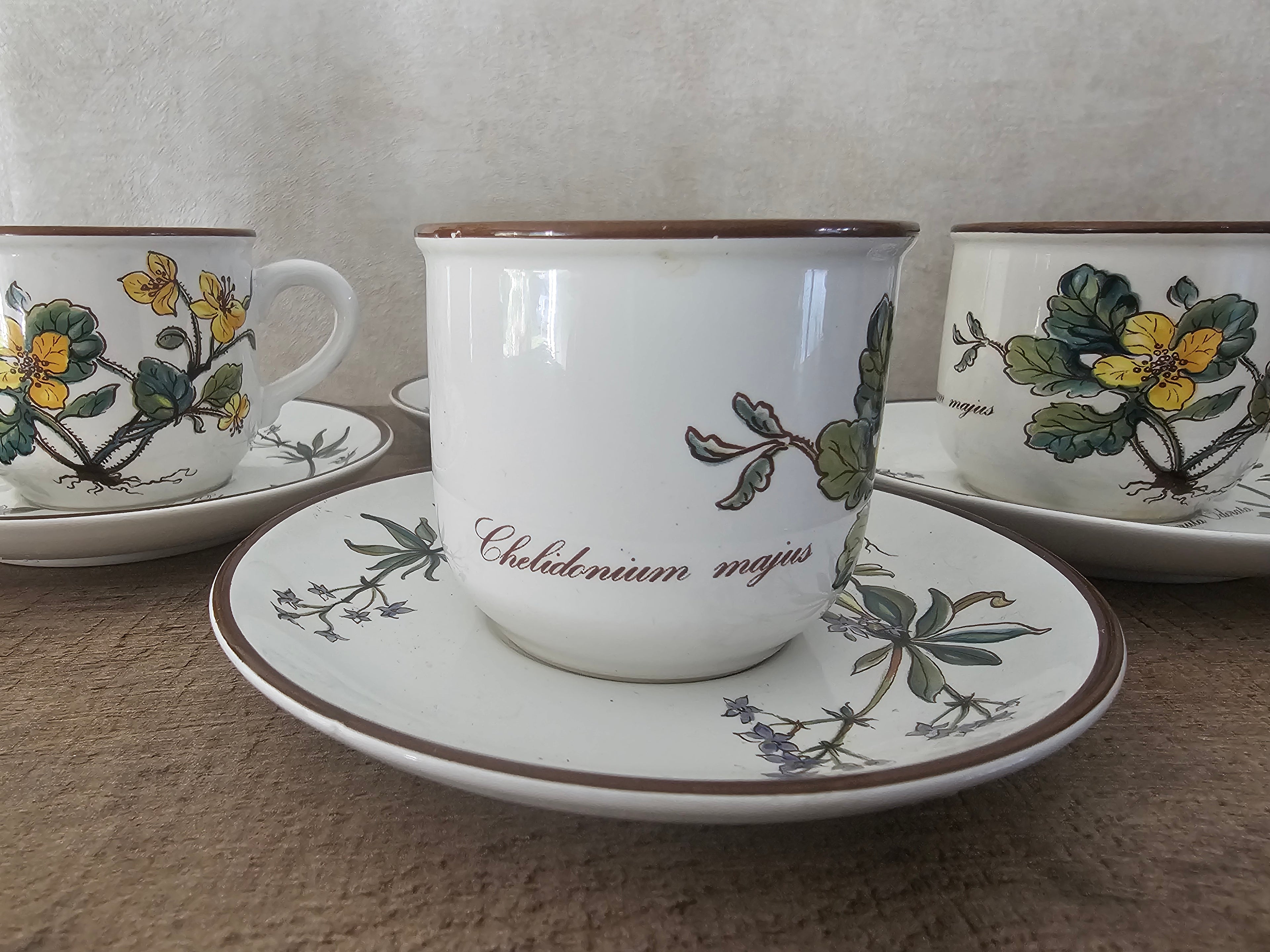 Villeroy Boch Botanica kop en schotel