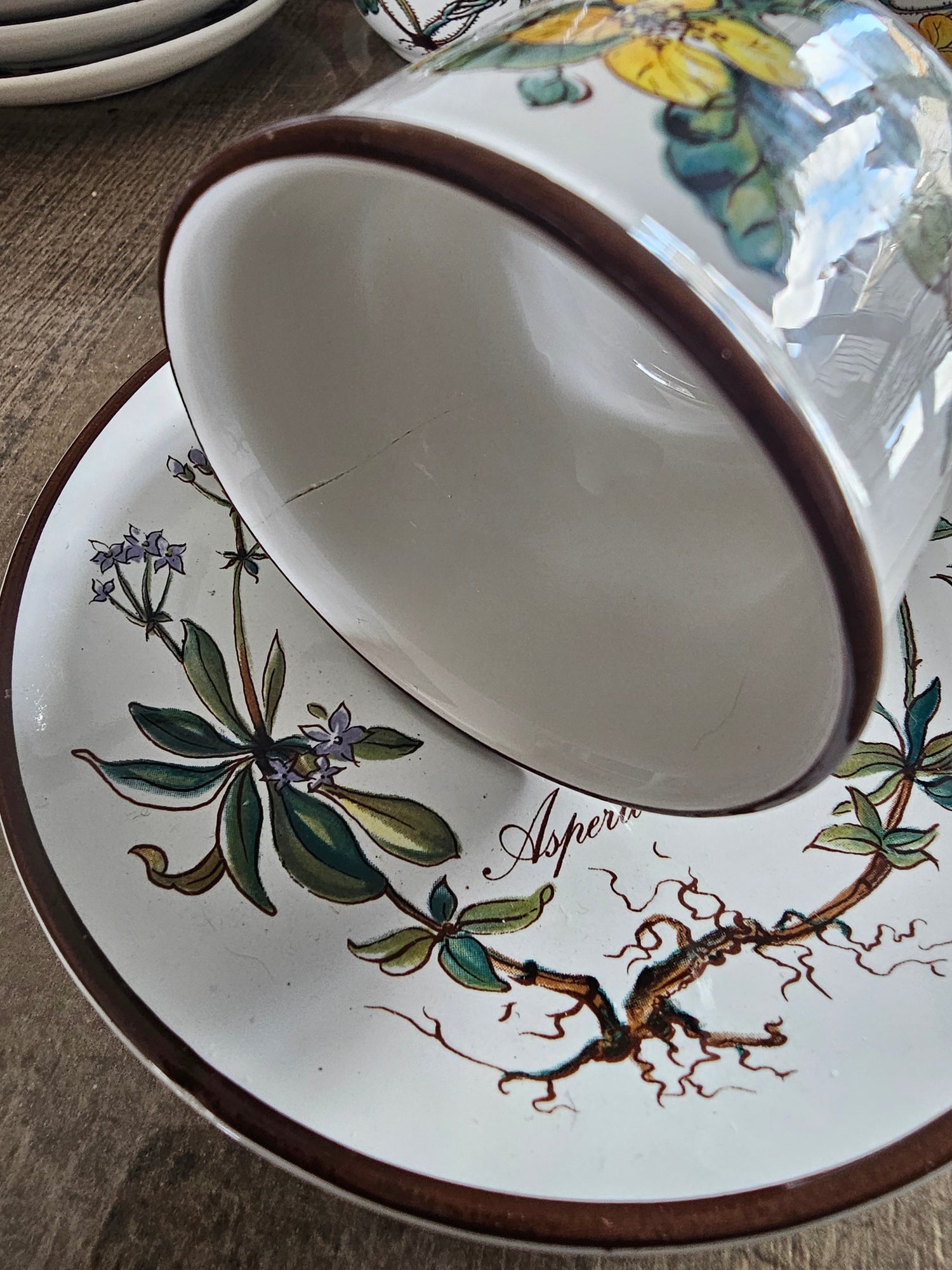 Villeroy Boch Botanica kop en schotel