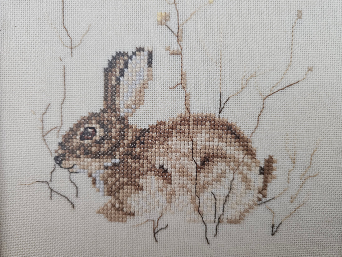 Ingelijst borduurwerk konijn