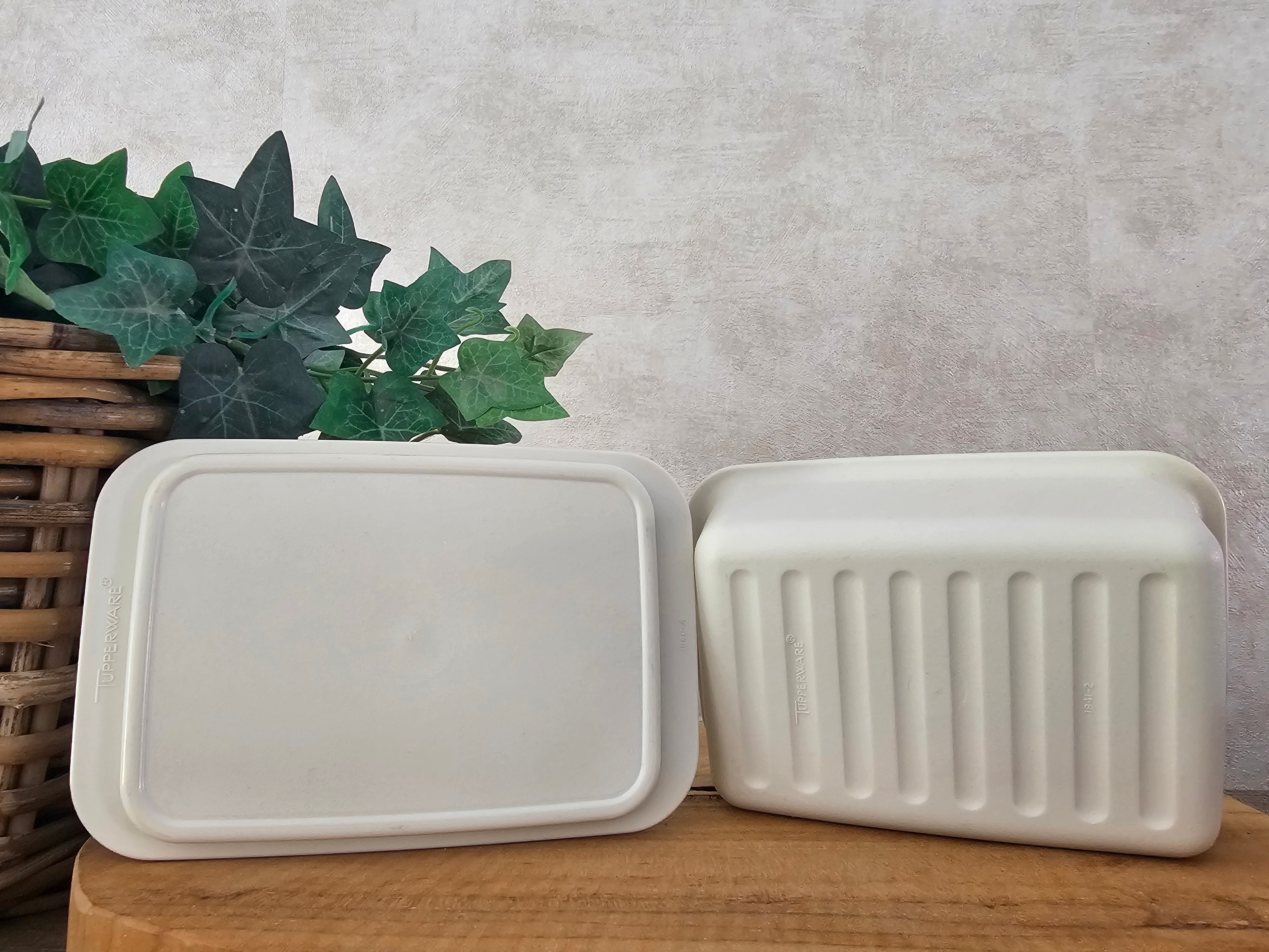 Tupperware botervloot