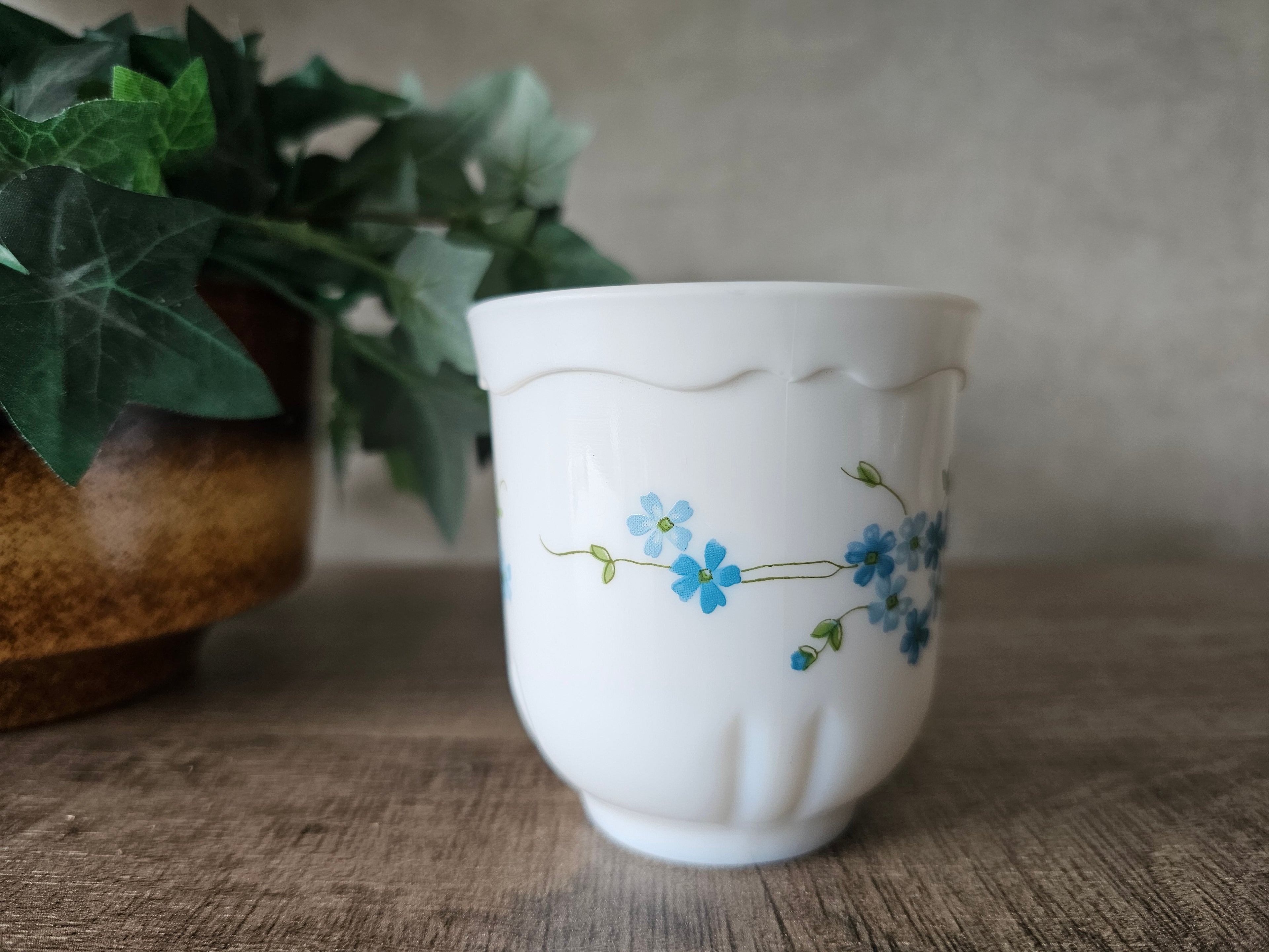 Arcopal Veronica kopjes