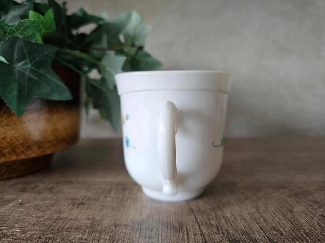 Arcopal Veronica kopjes