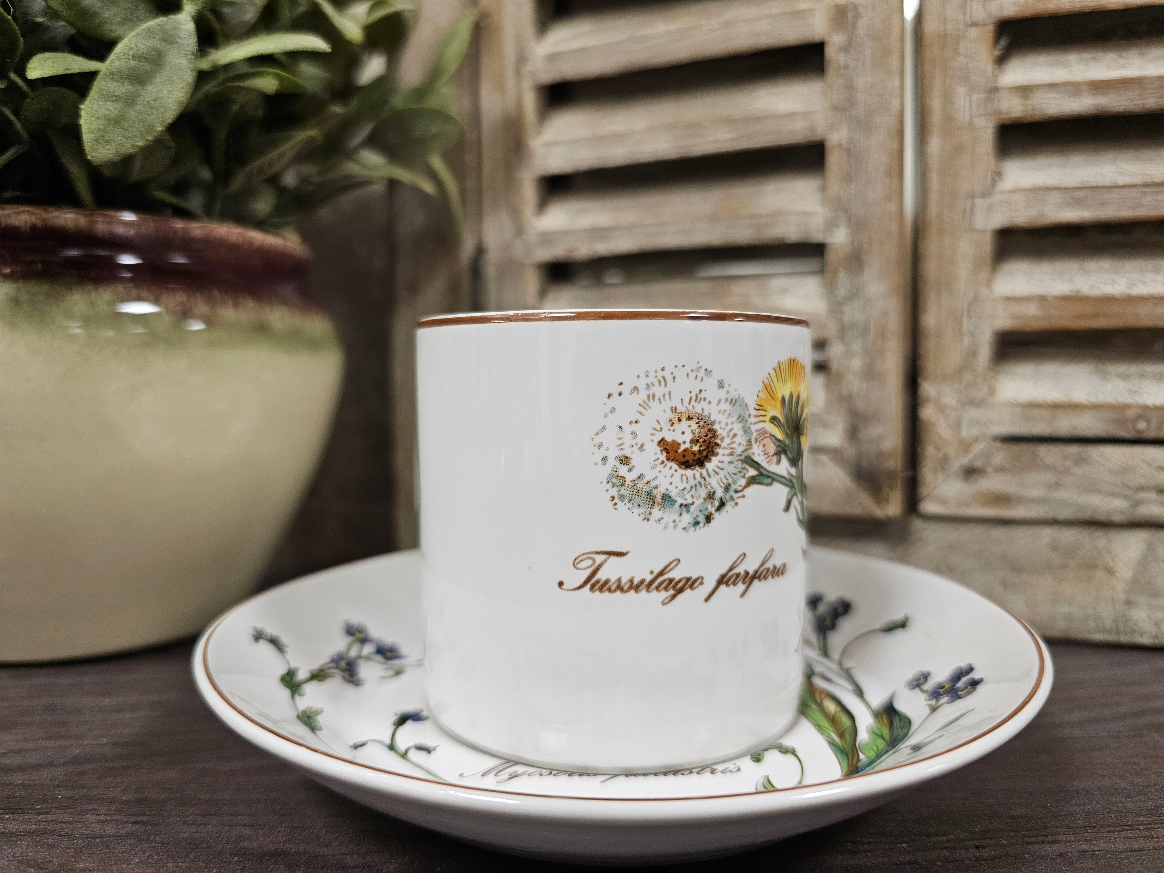 Douwe Egberts kop en schotel botanica