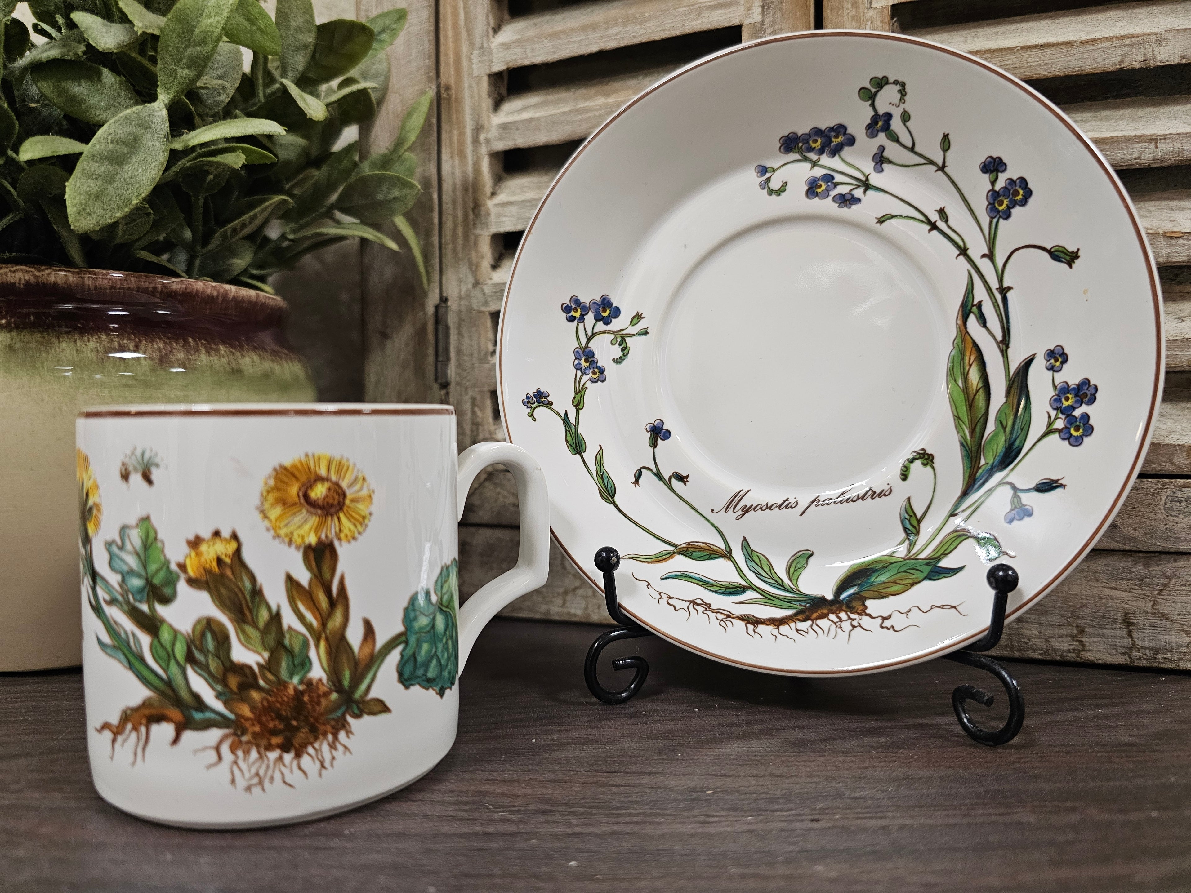 Douwe Egberts kop en schotel botanica