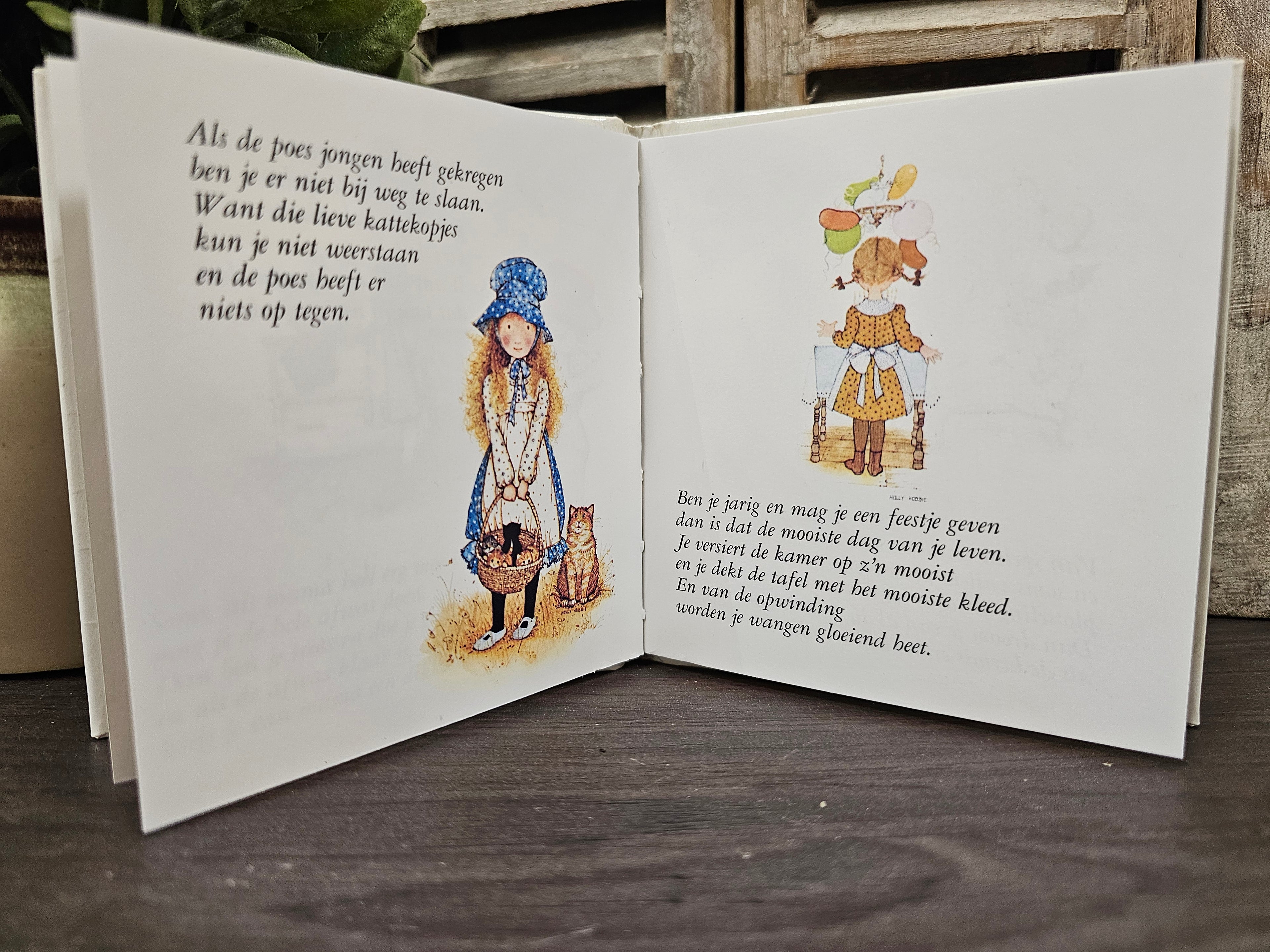 Holly Hobbie "geluk is duizend dingen"