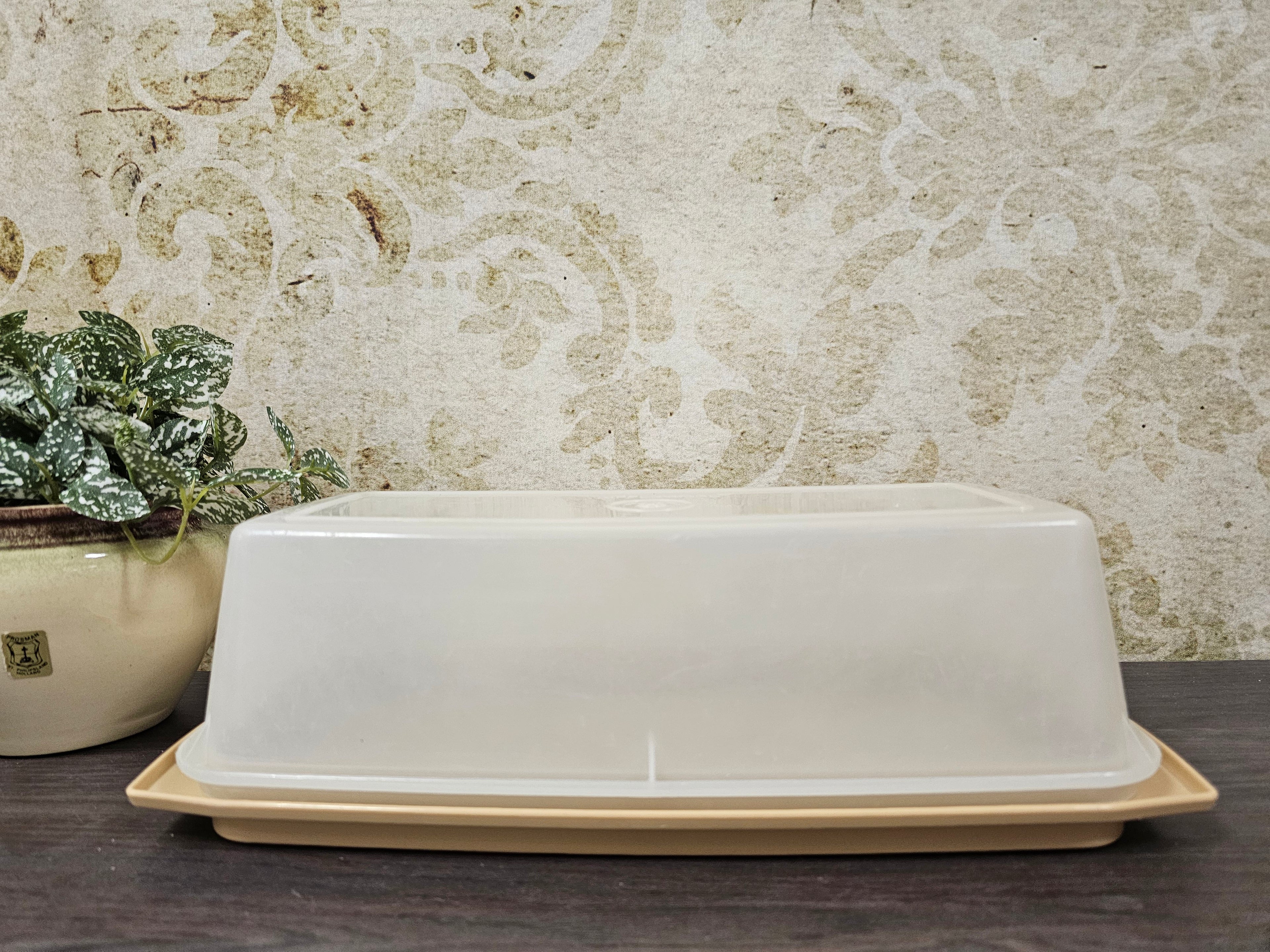 Tupperware cake trommel