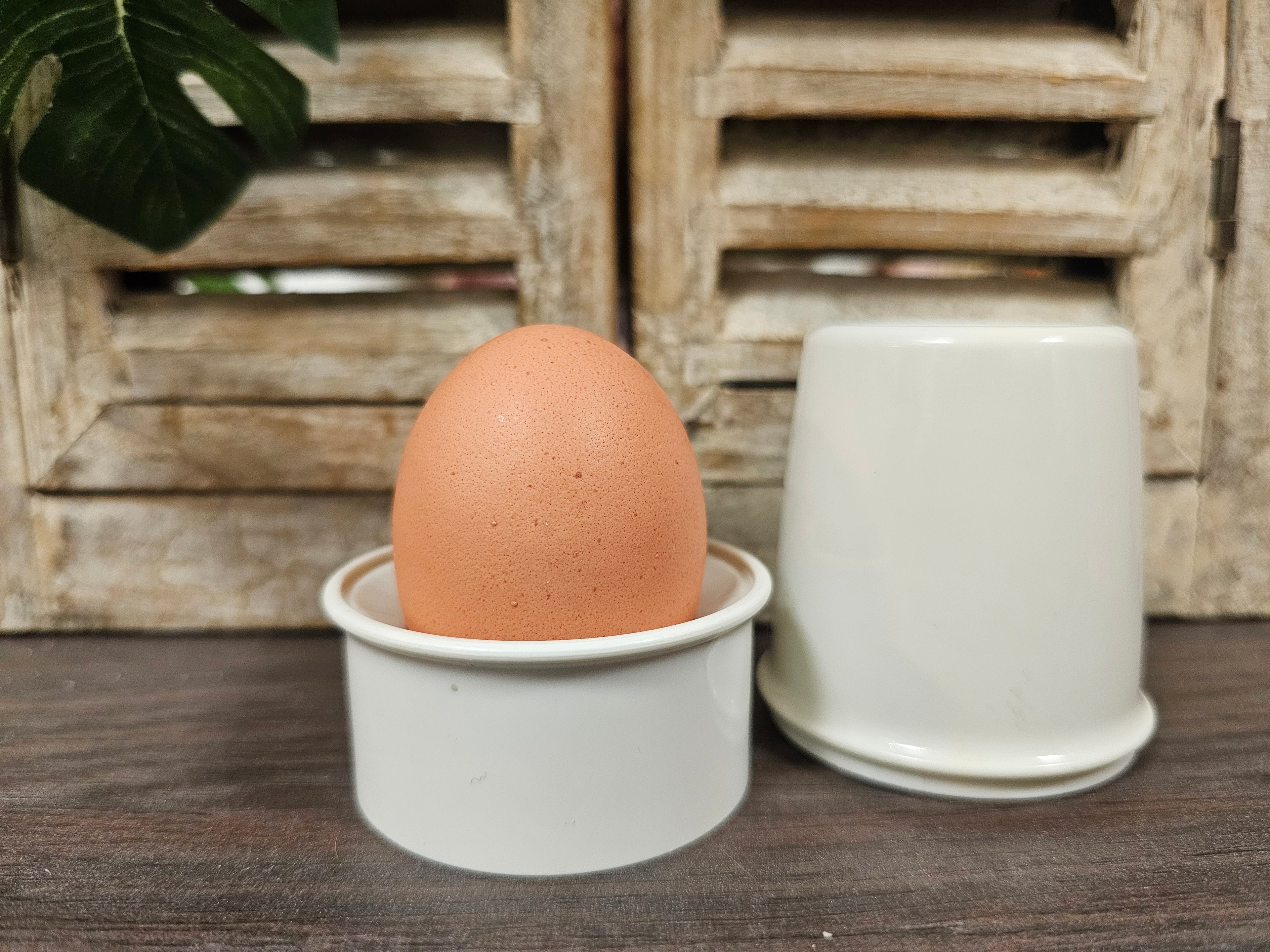 Tupperware eierdopje wit