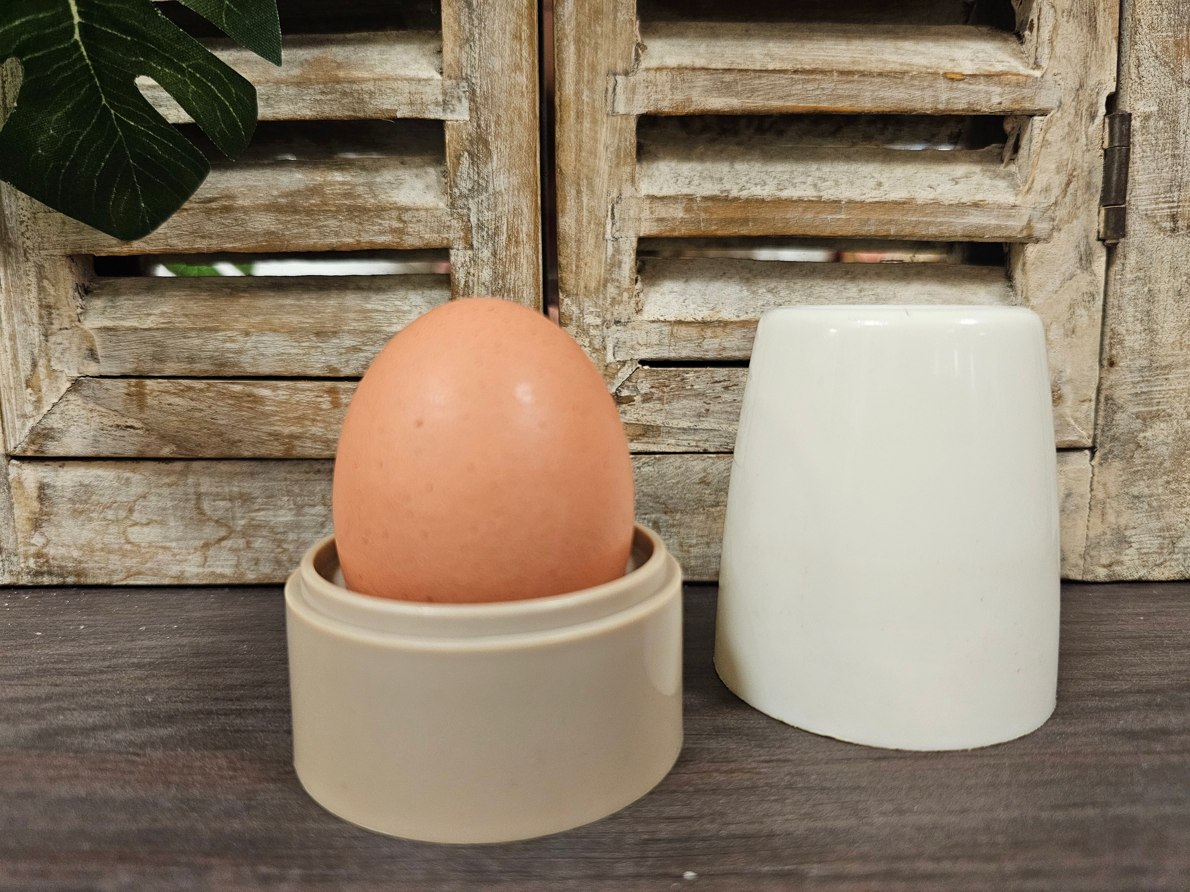 Tupperware eierdopje beige