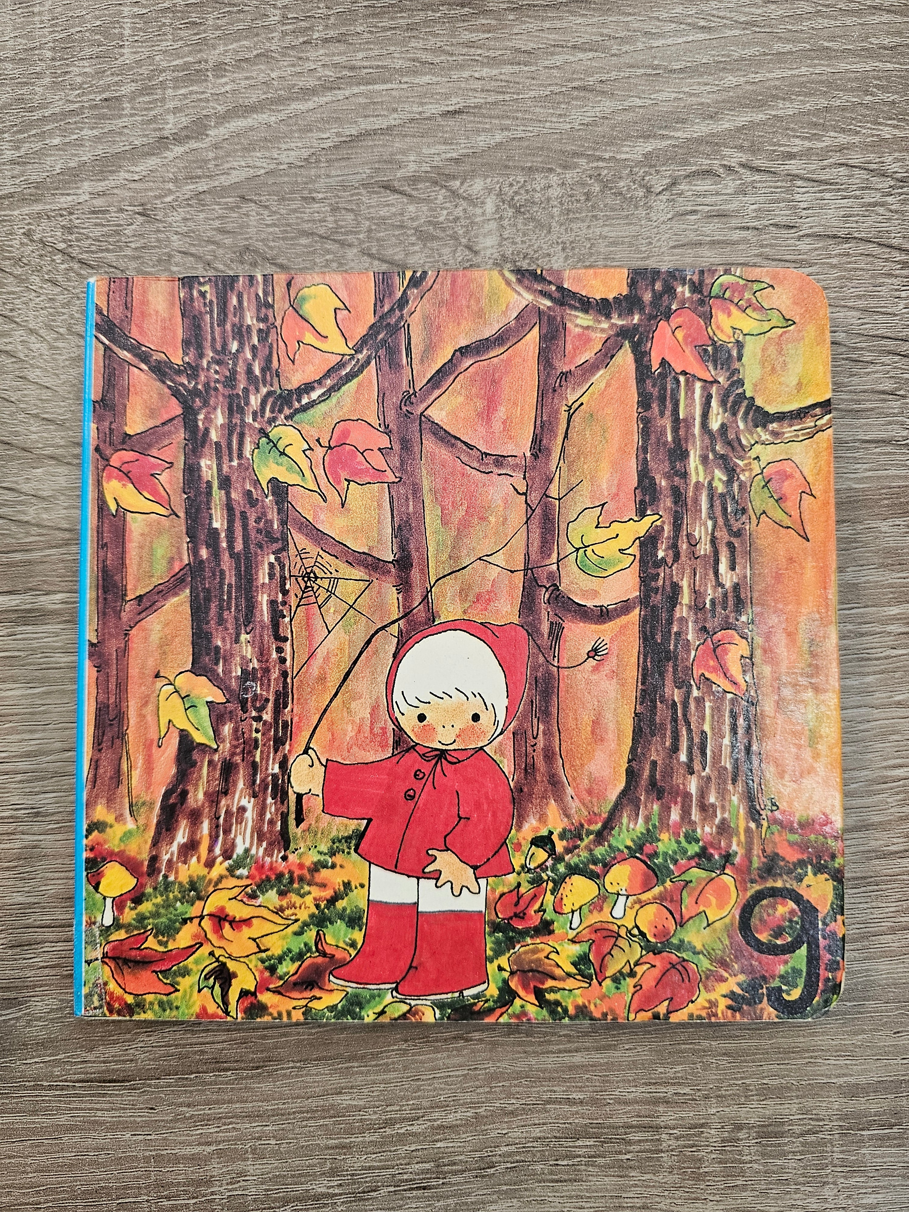 Botjes boek nr 9 Het is herfst