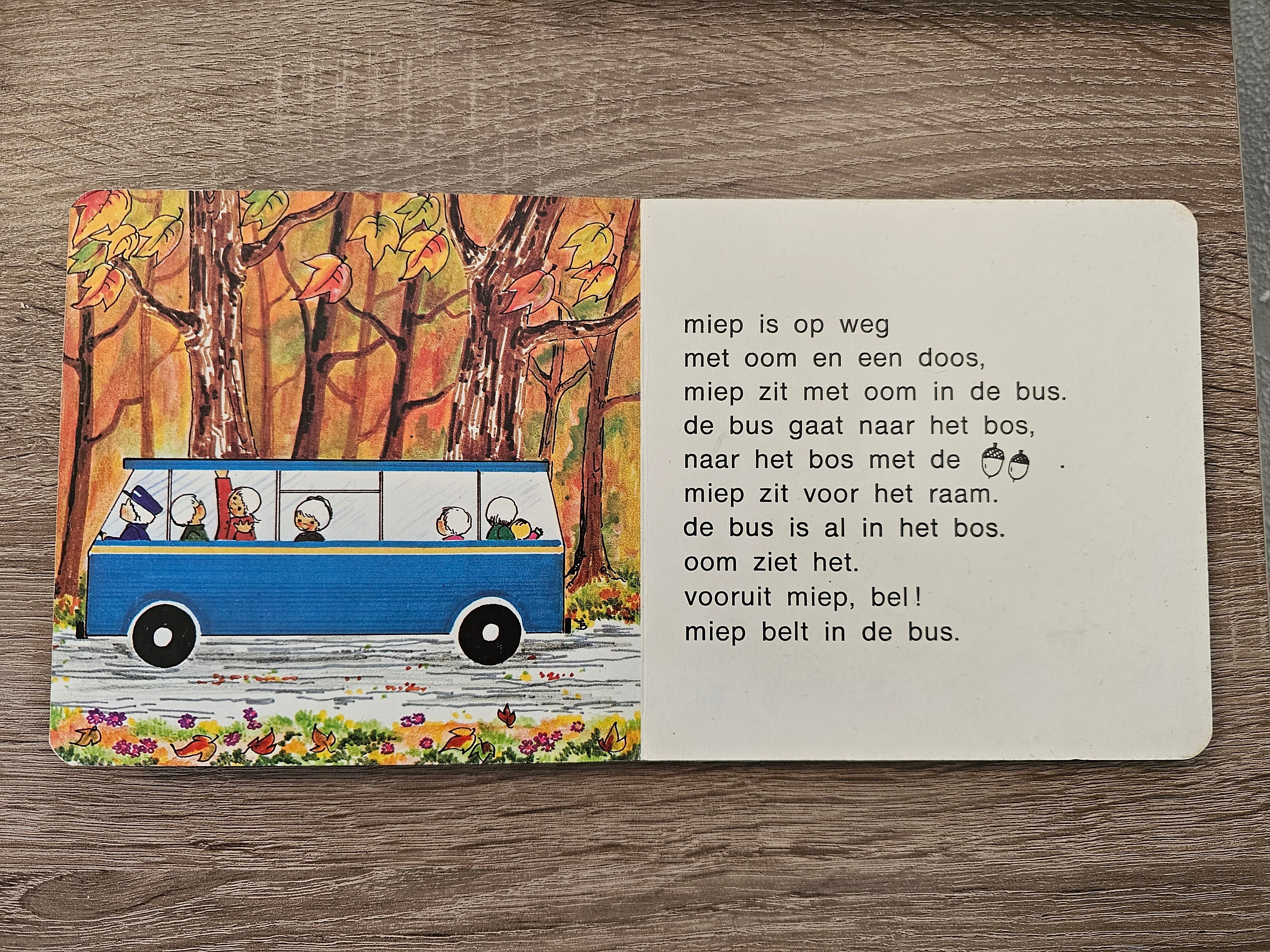 Botjes boek nr 9 Het is herfst