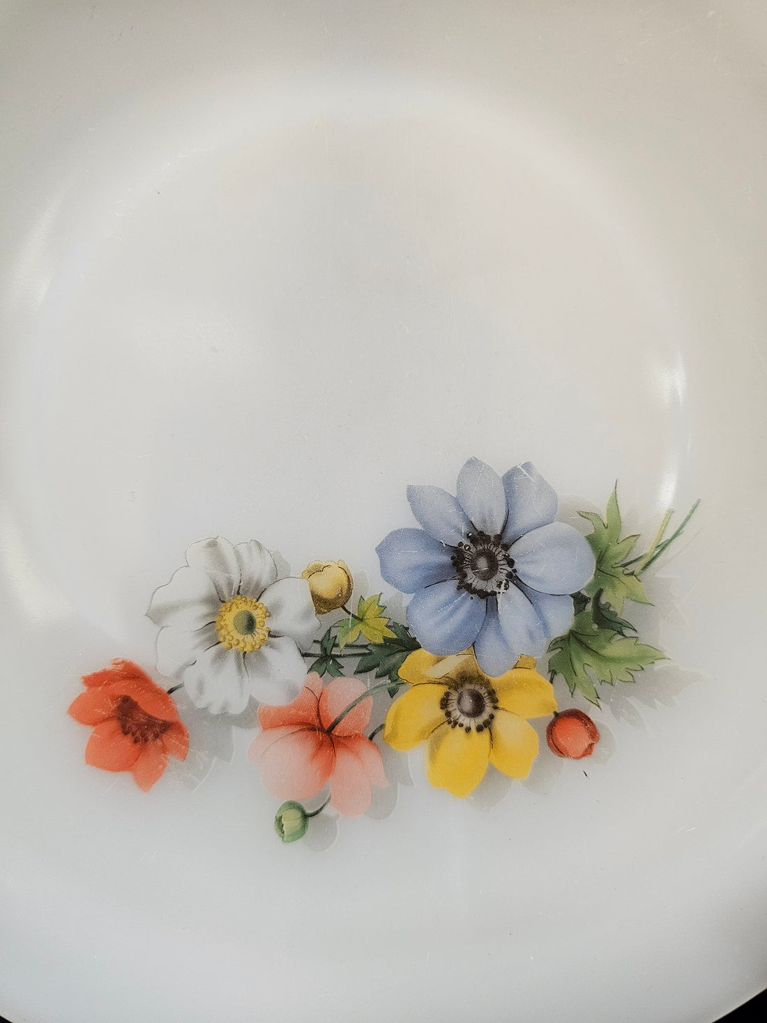 Arcopal Anemone diner borden