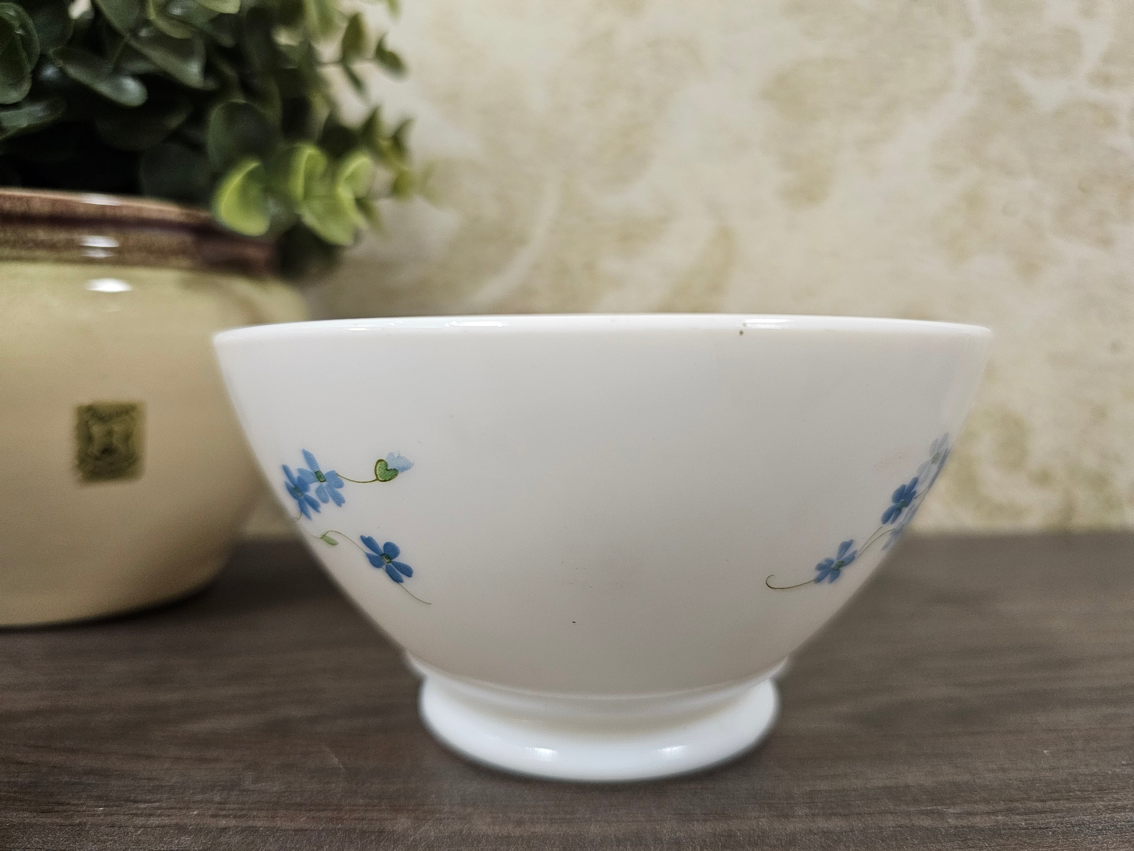 Arcopal Veronica schaaltje