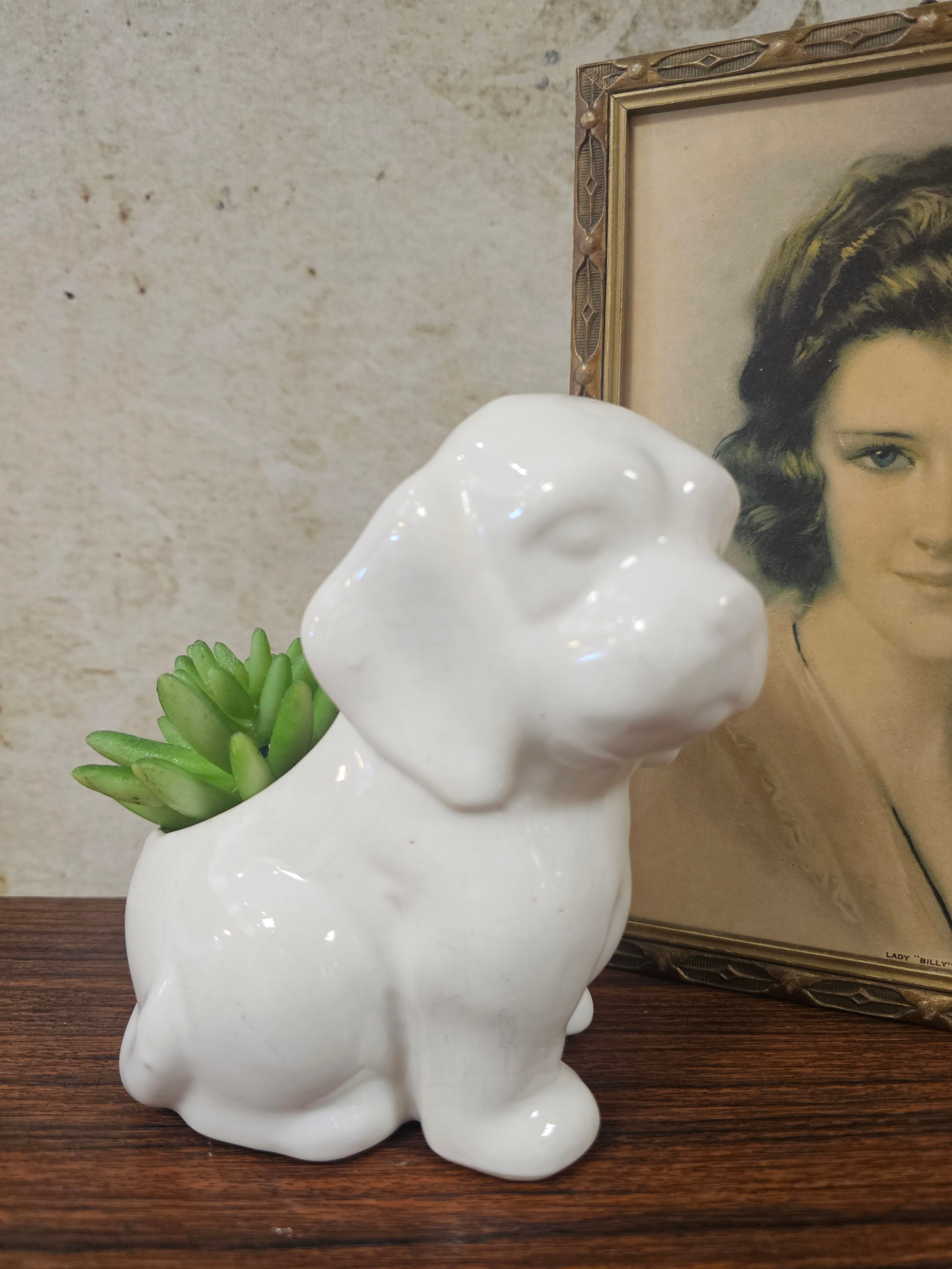 Bloempot wit hondje
