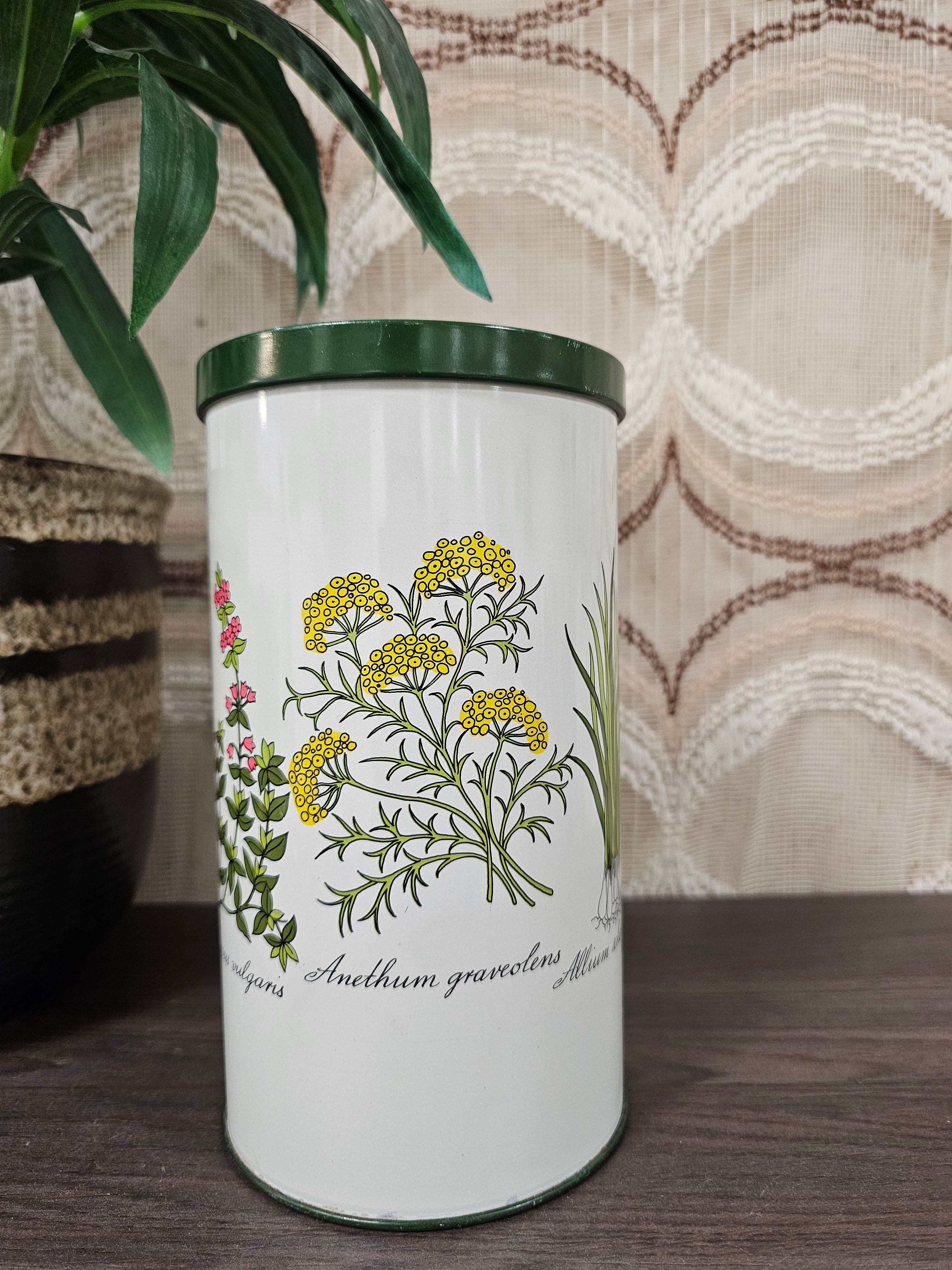 Beschuitblik botanica