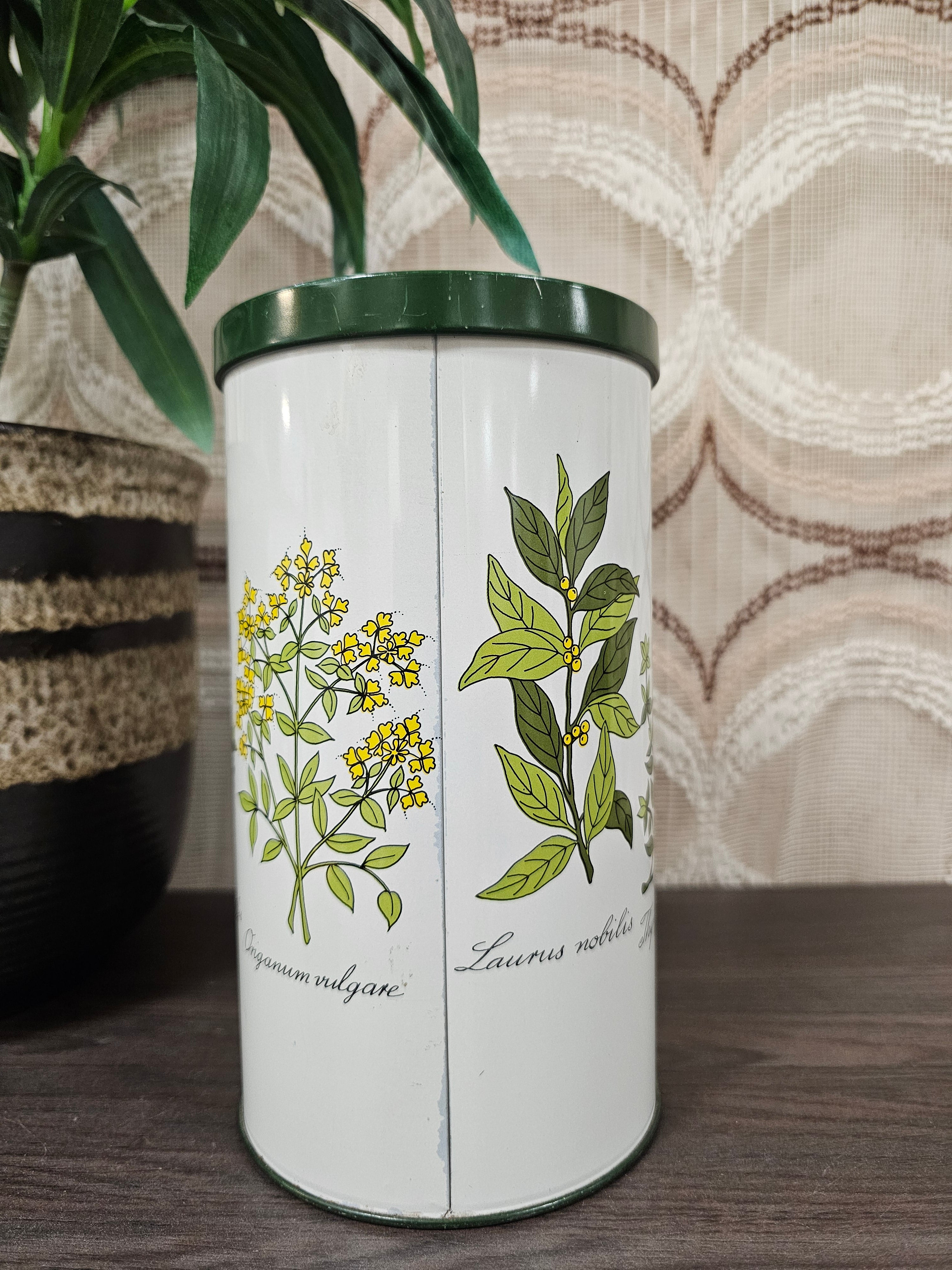 Beschuitblik botanica