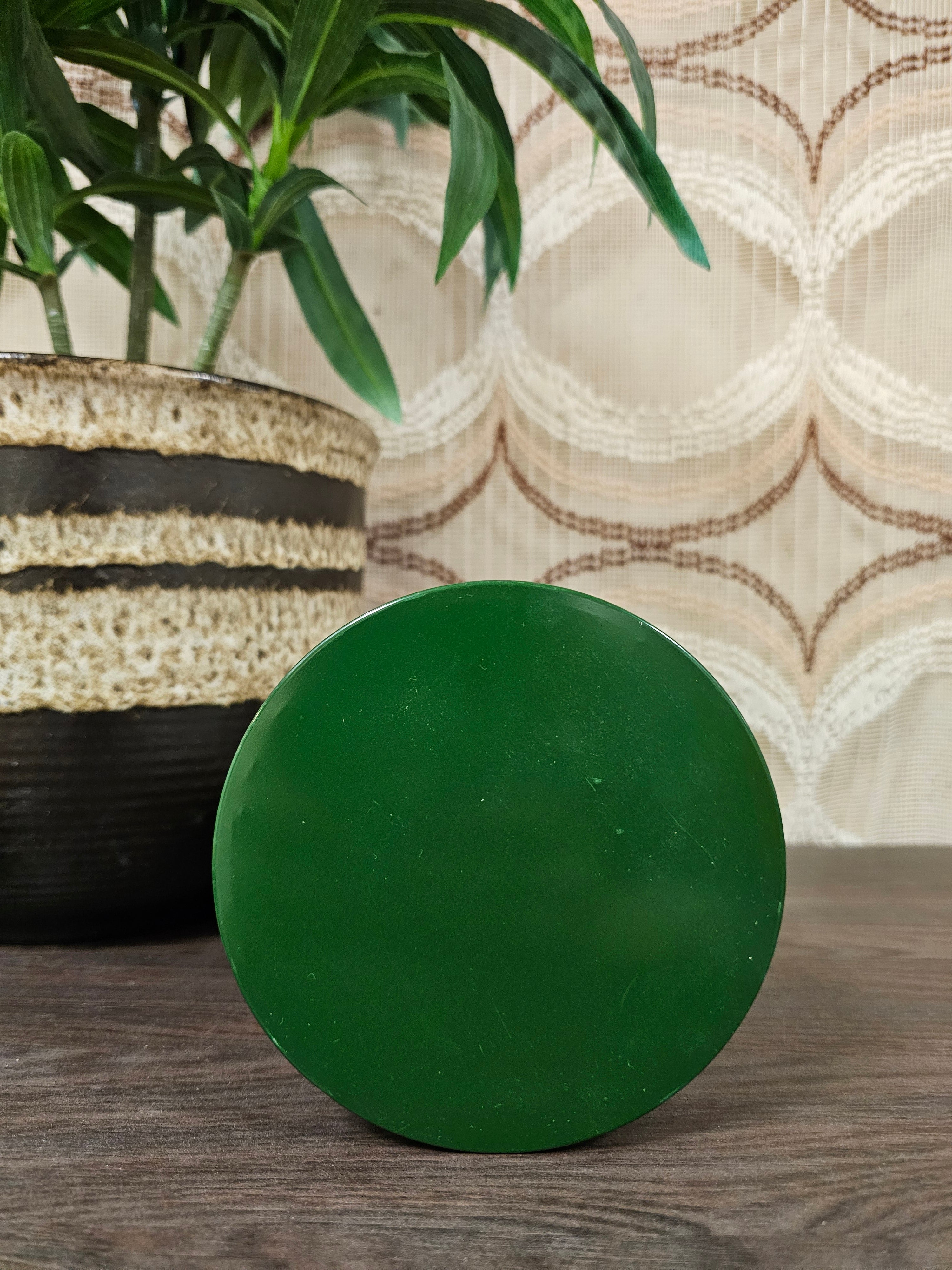 Beschuitblik botanica