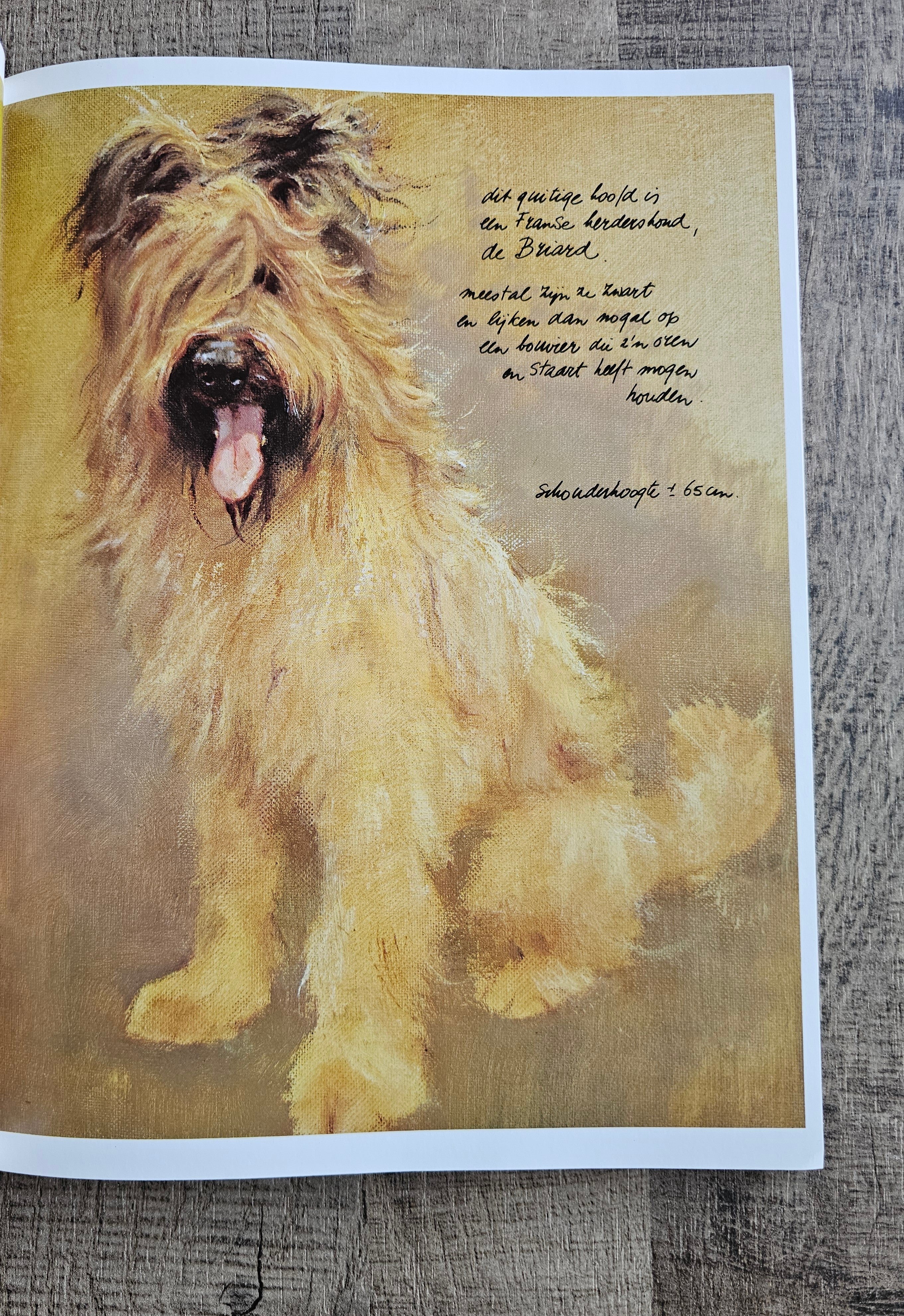 Rien Poortvliet Braaf (softcover)