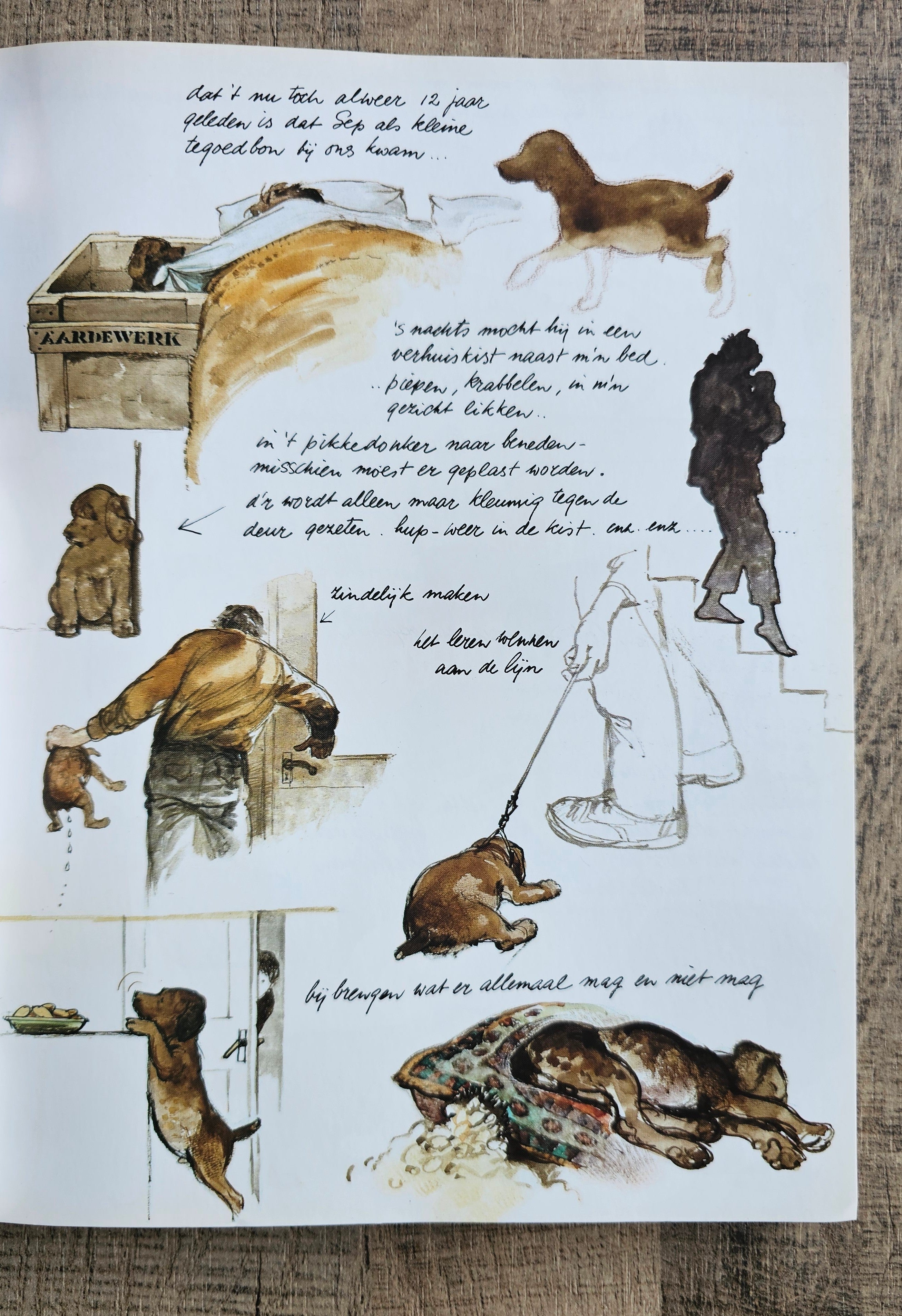 Rien Poortvliet Braaf (softcover)