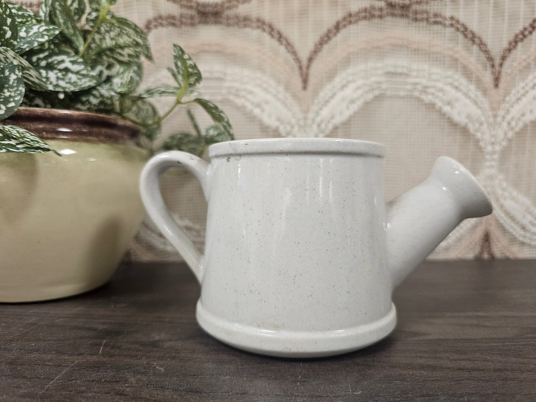 Wildflower gieter bloempot blauwe bloemen