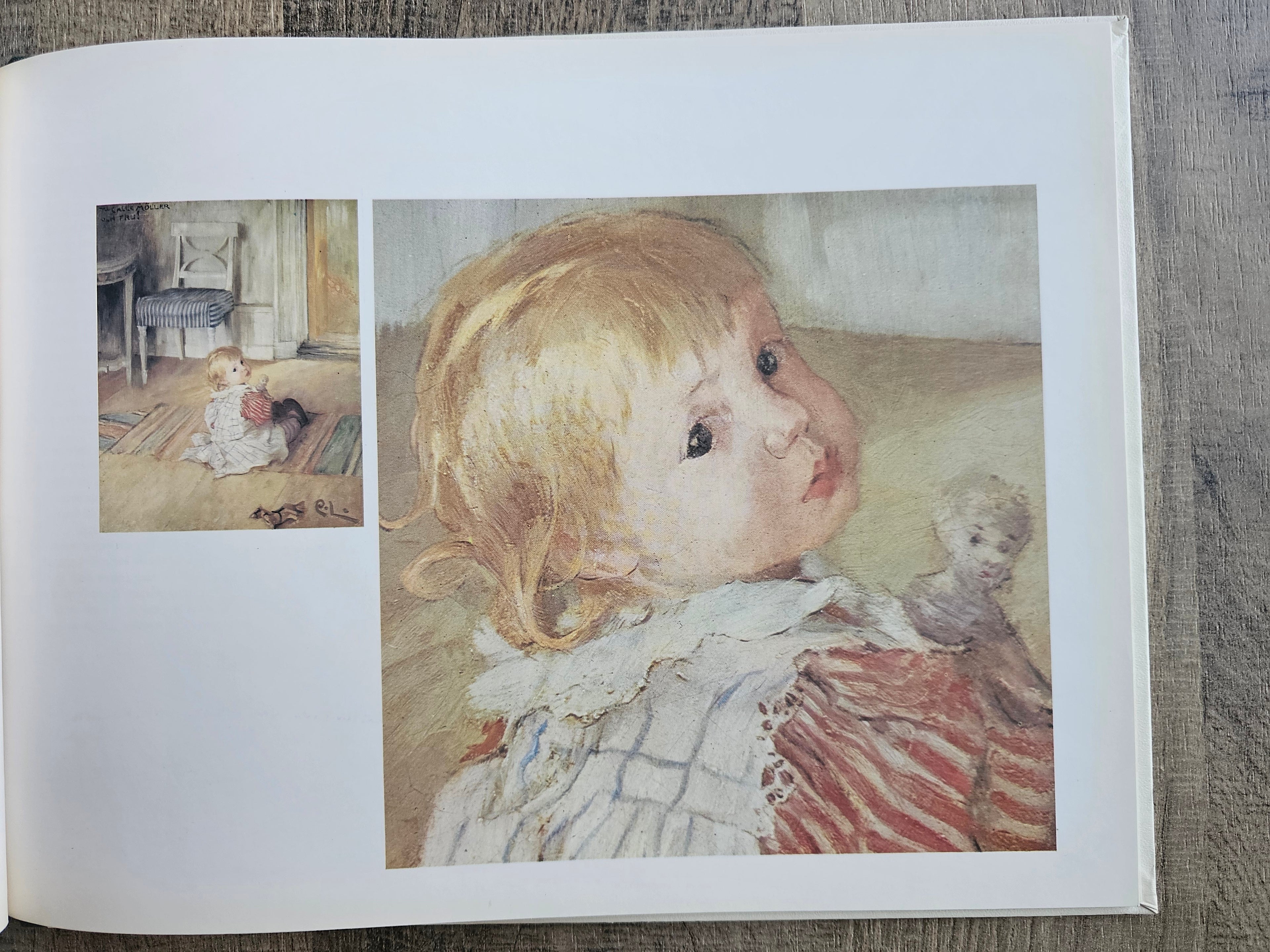Carl Larsson ons gezin Bruna prentenboek