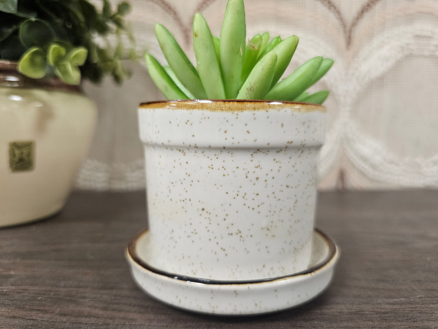 Wildflower mini bloempot rode bloemen