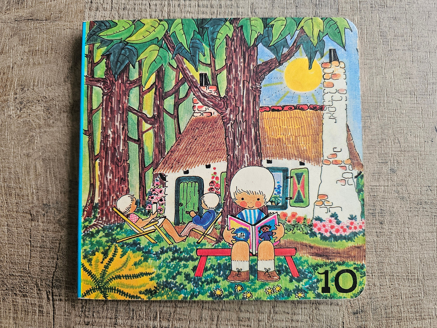 Botjes boekje 10 "een dag in de zon" vintage kinderboekje deel 10