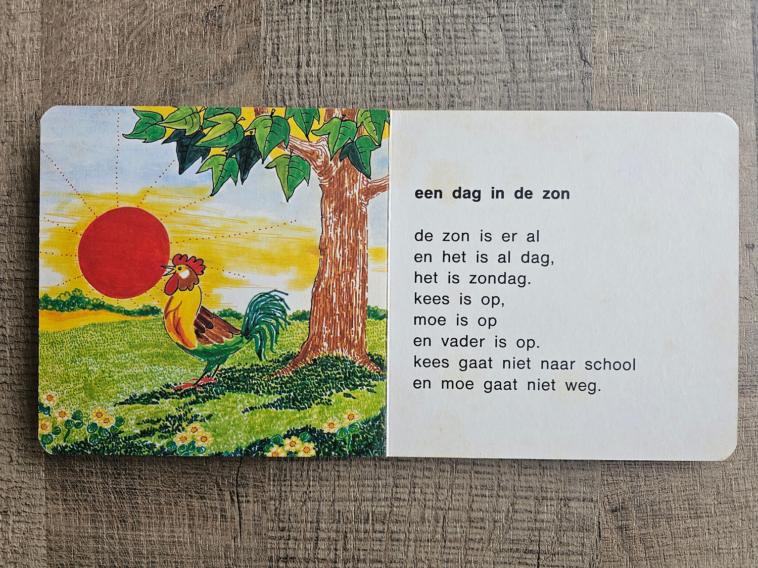 Botjes boekje 10 "een dag in de zon" vintage kinderboekje deel 10