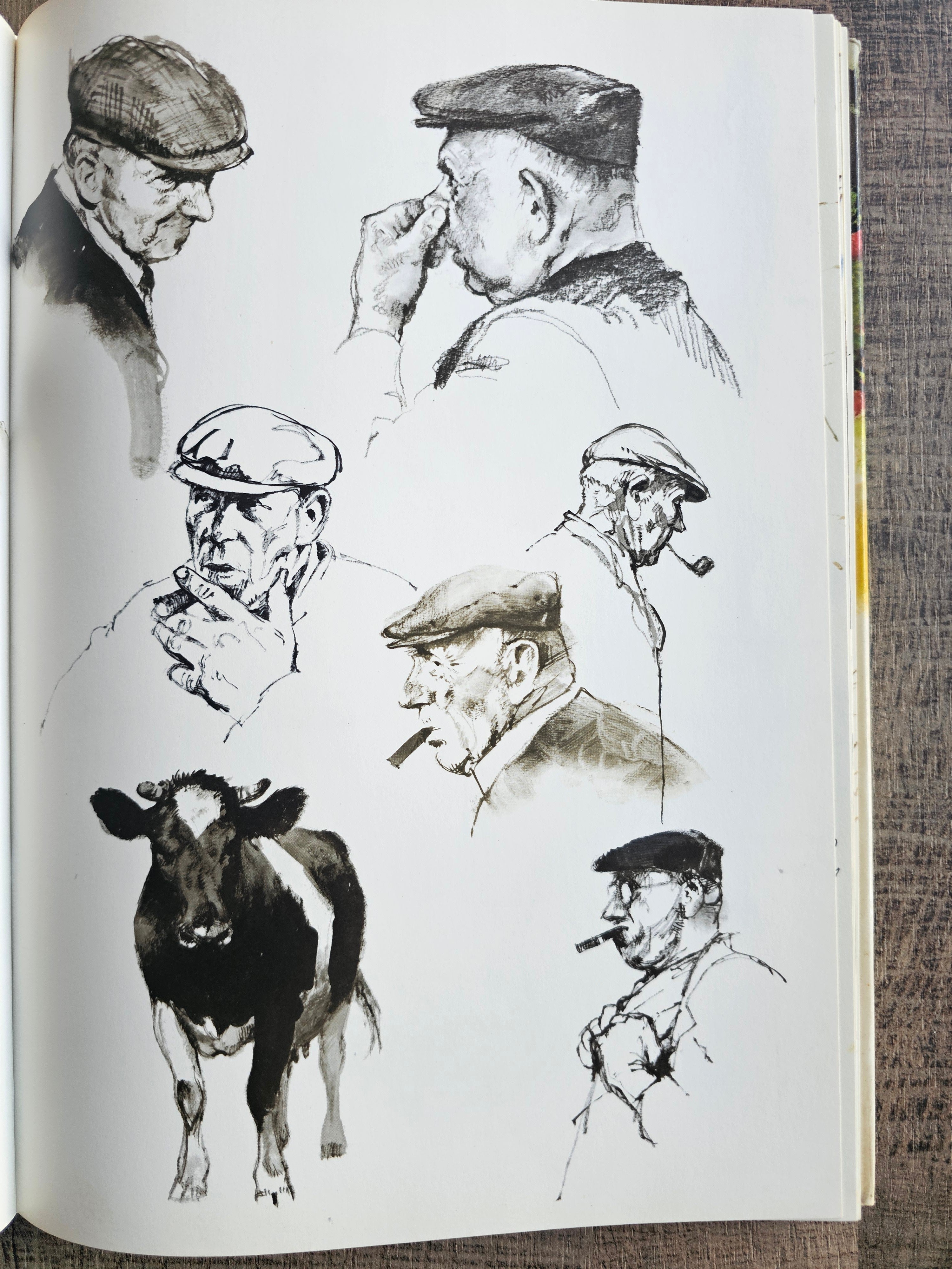 Rien Poortvliet hardcover boek Te hooi en te gras