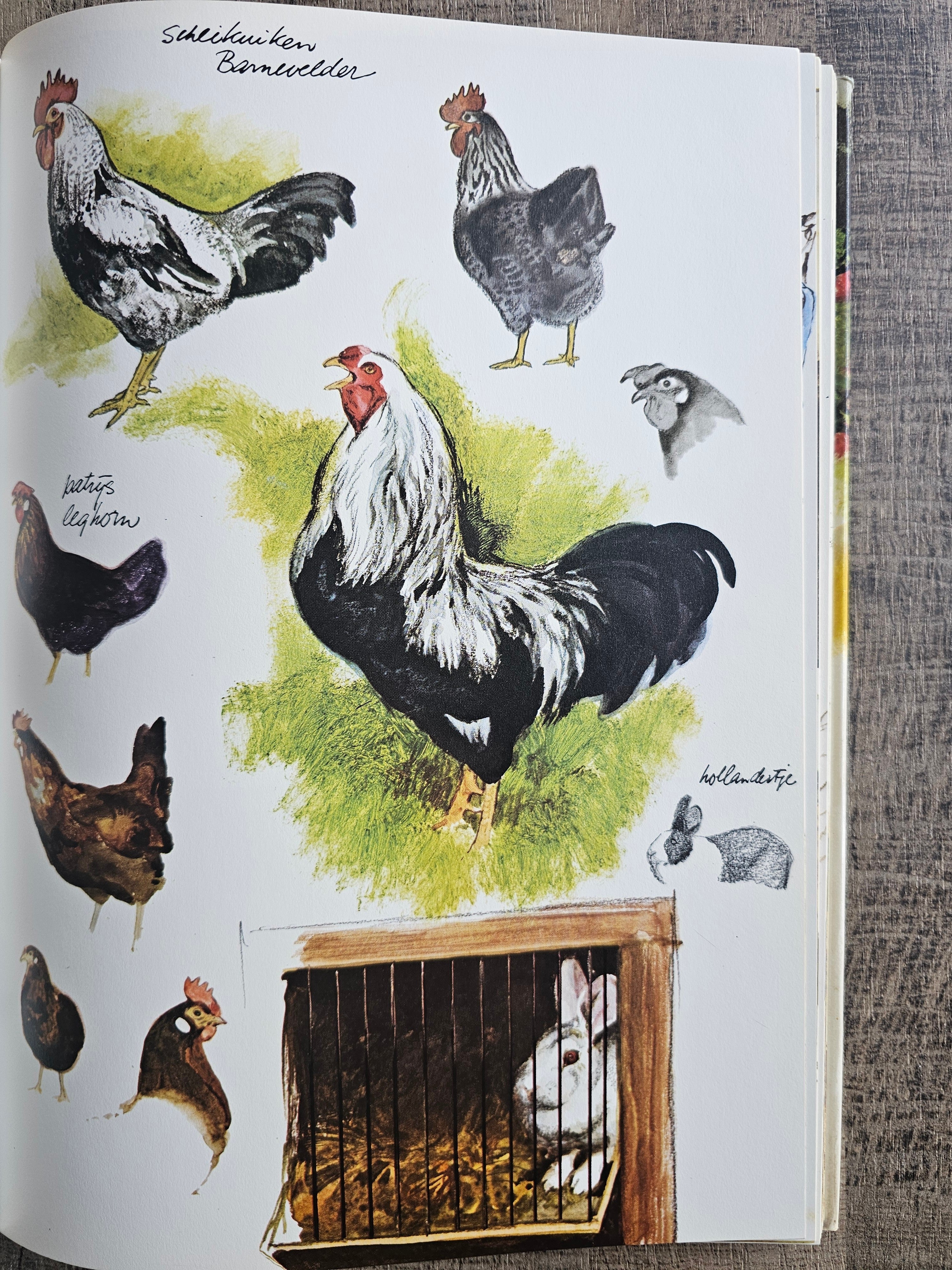 Rien Poortvliet hardcover boek Te hooi en te gras