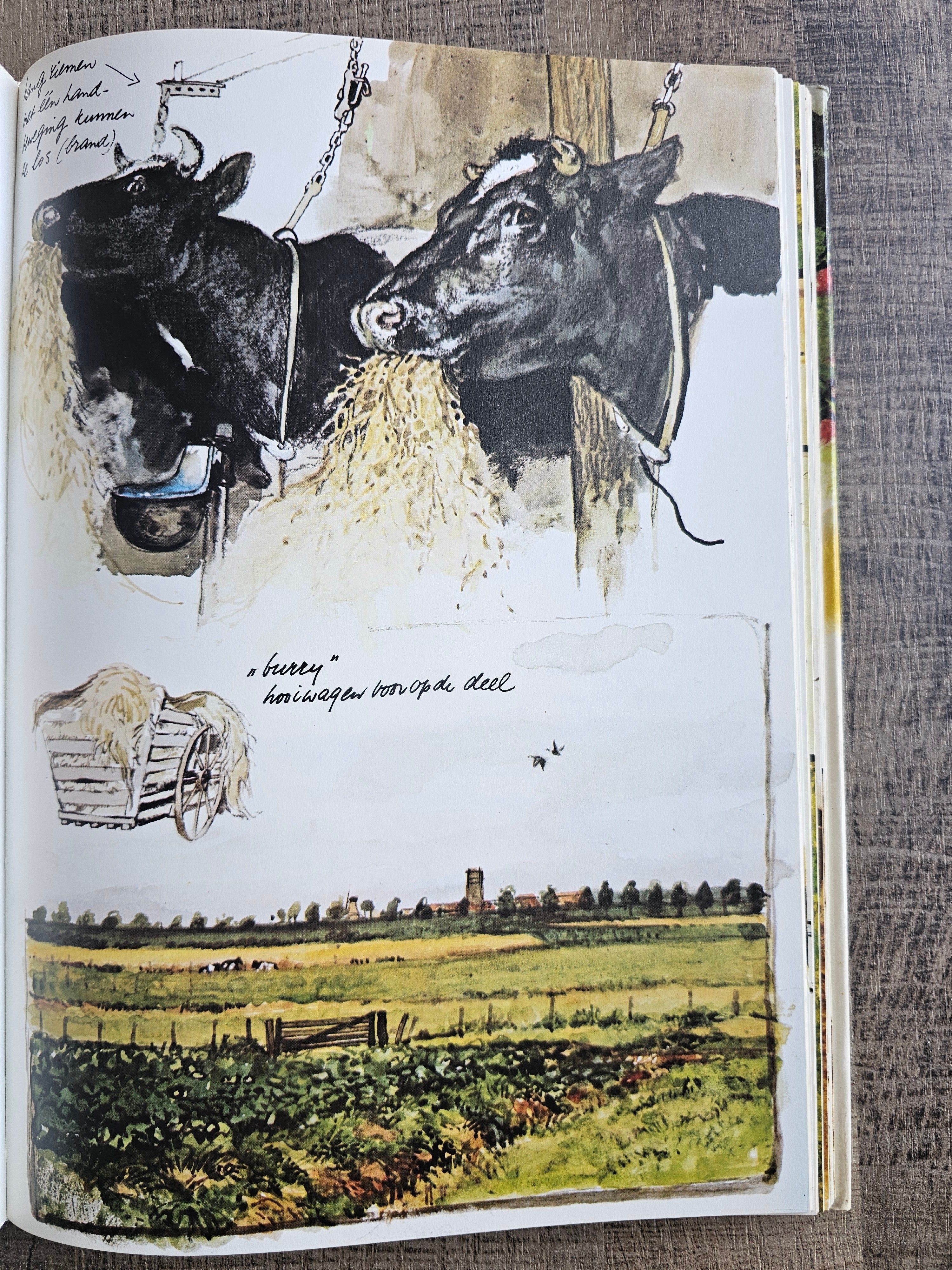 Rien Poortvliet hardcover boek Te hooi en te gras