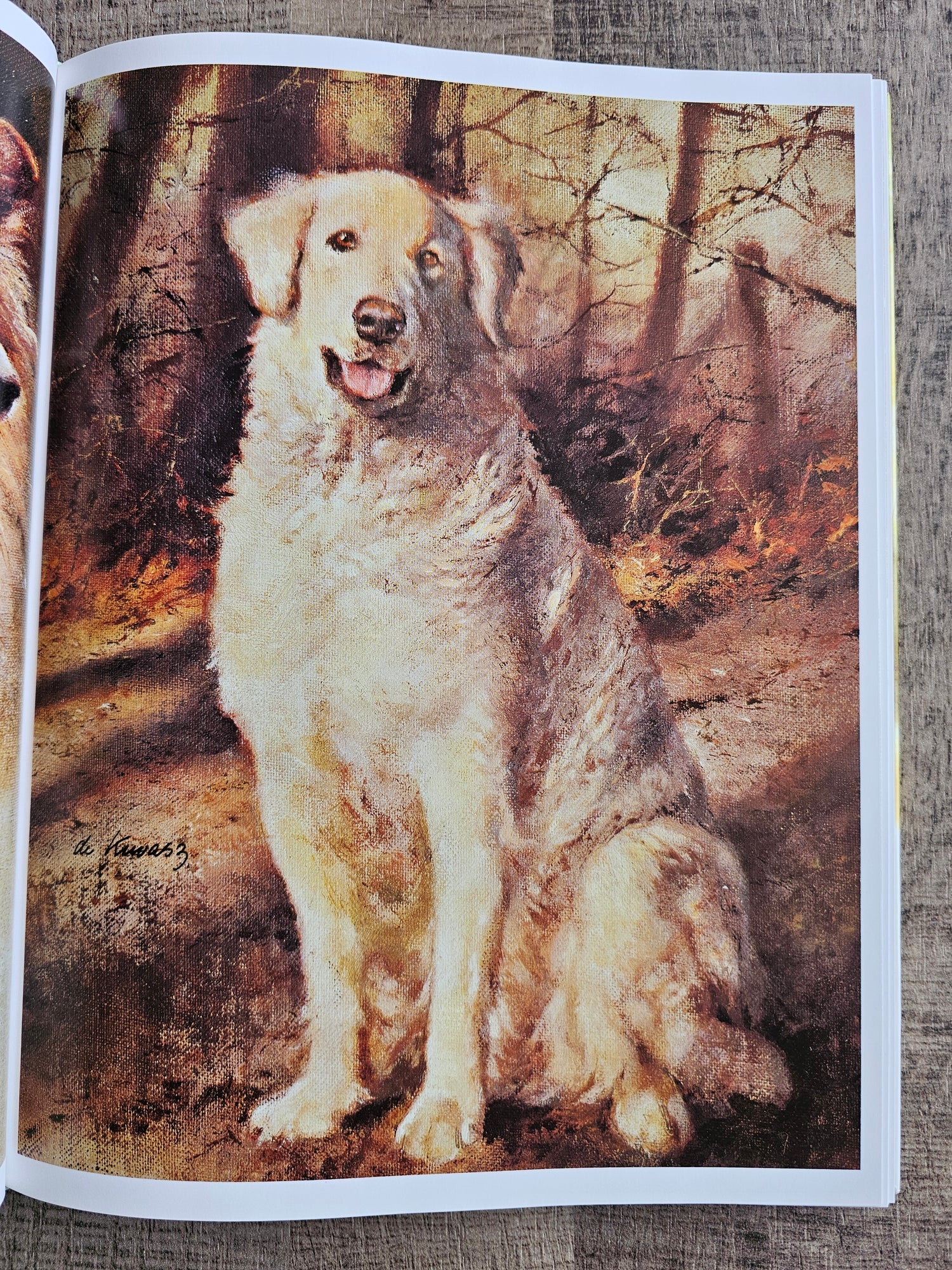 Rien Poortvliet Braaf Hardcover