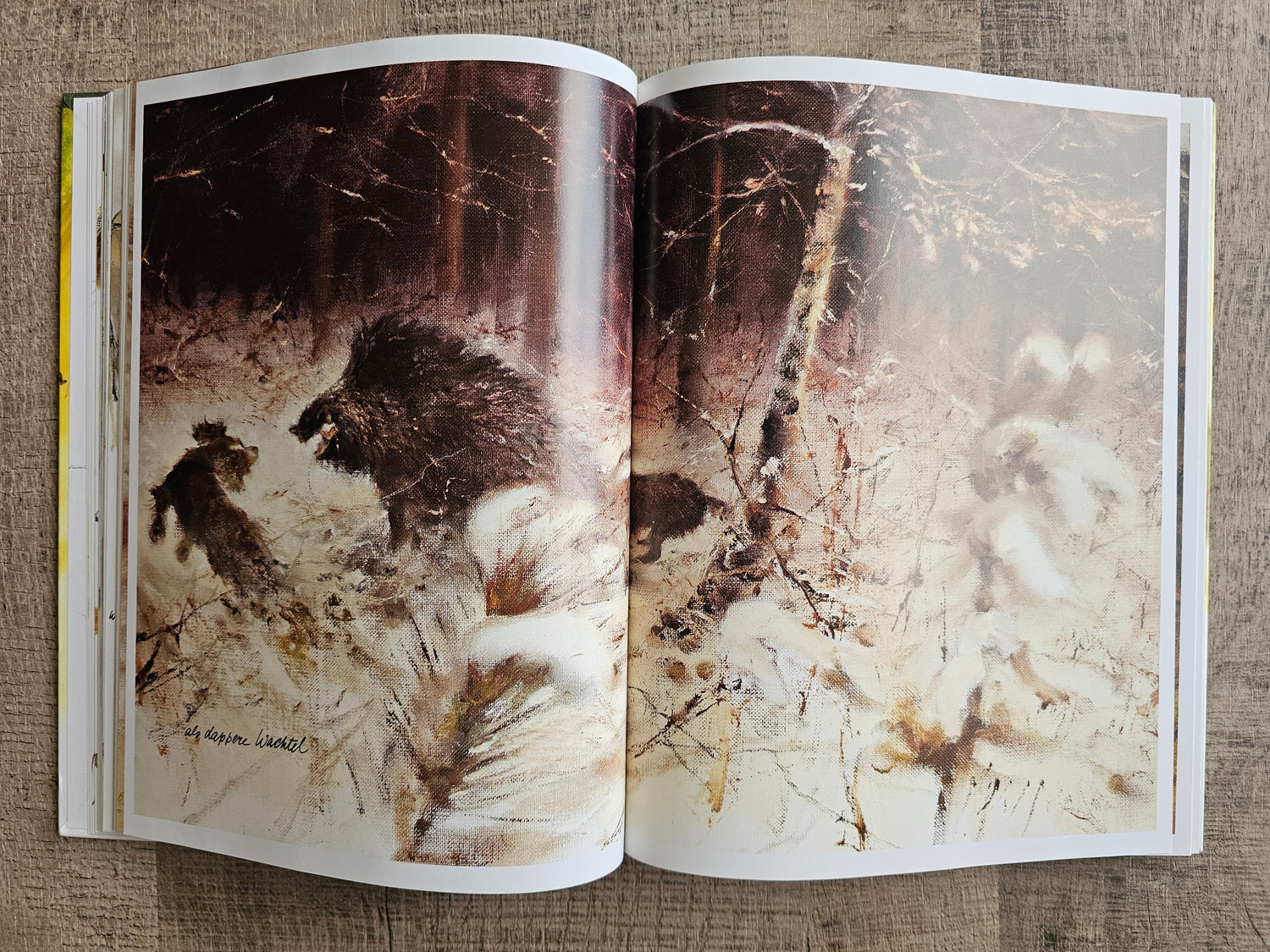 Rien Poortvliet Braaf Hardcover