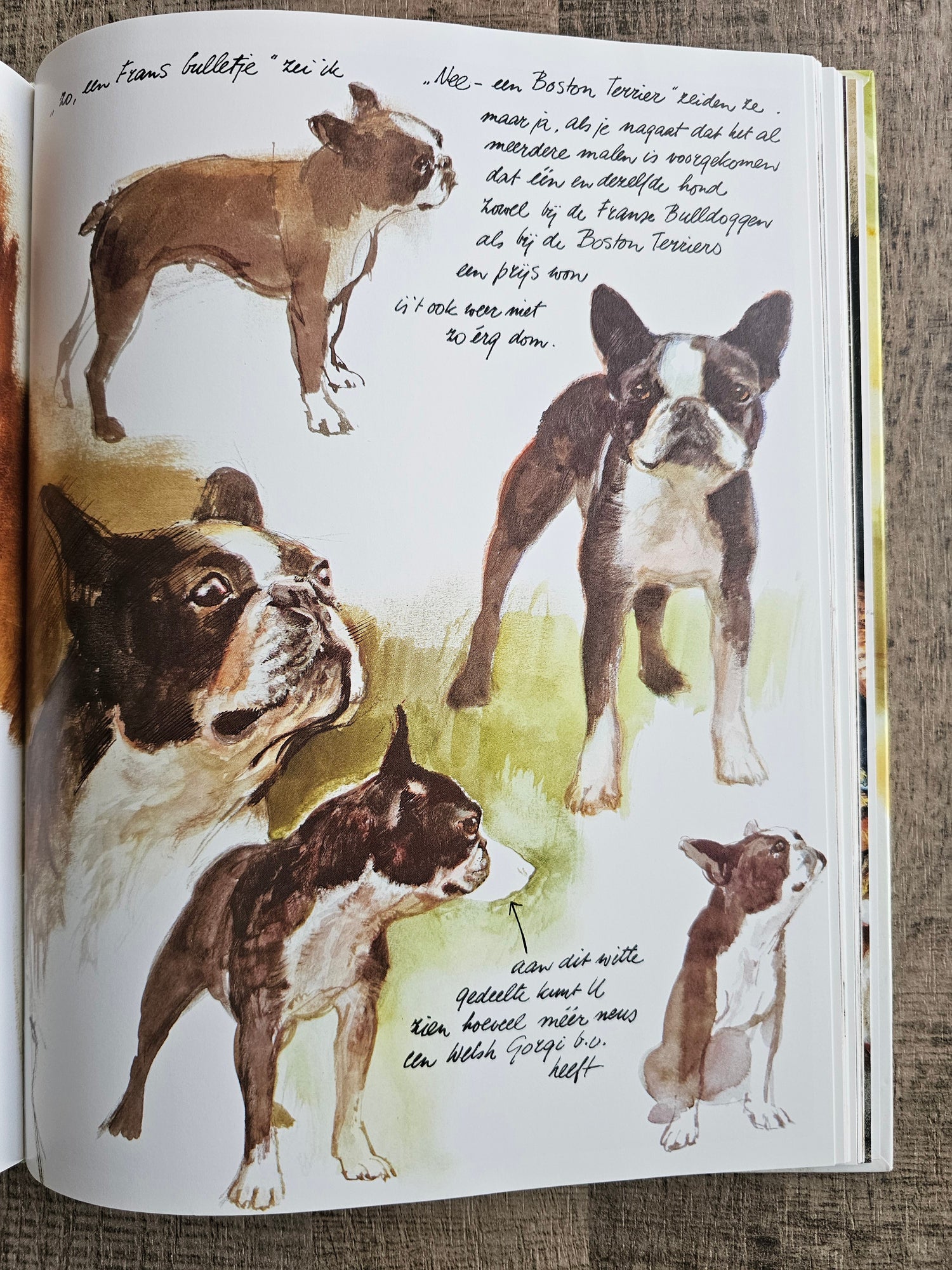 Rien Poortvliet Braaf Hardcover