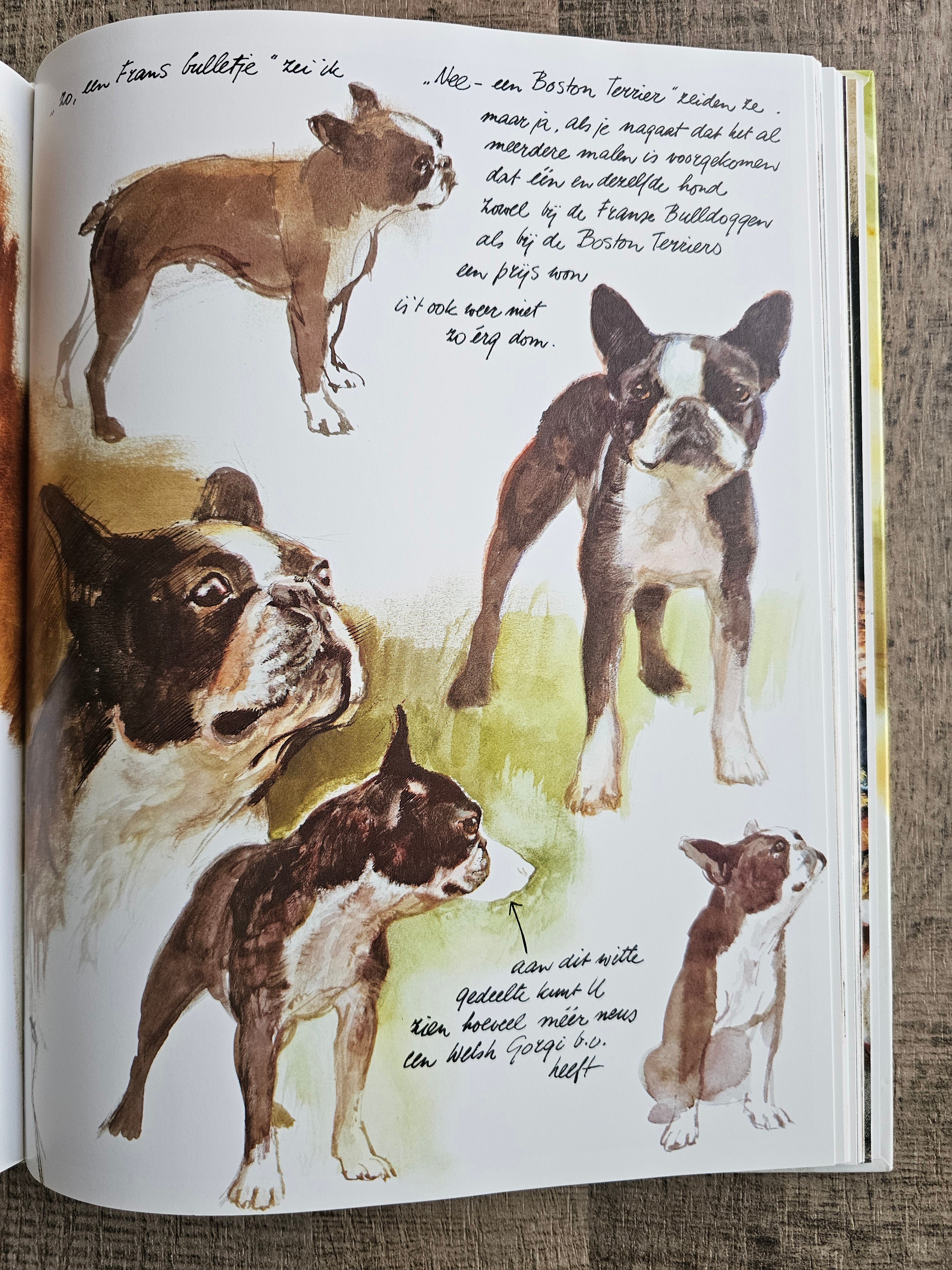 Rien Poortvliet Braaf Hardcover