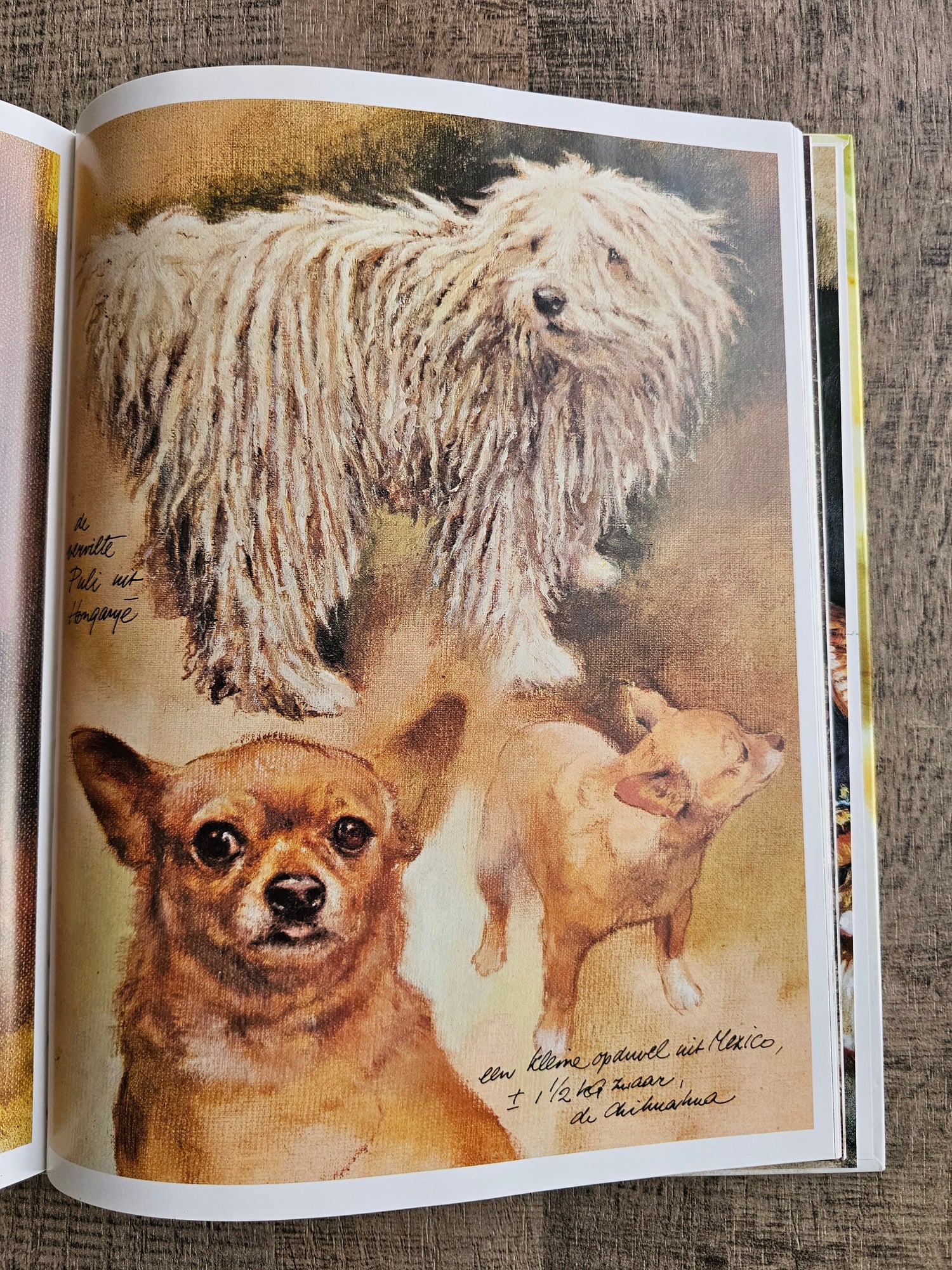 Rien Poortvliet Braaf Hardcover